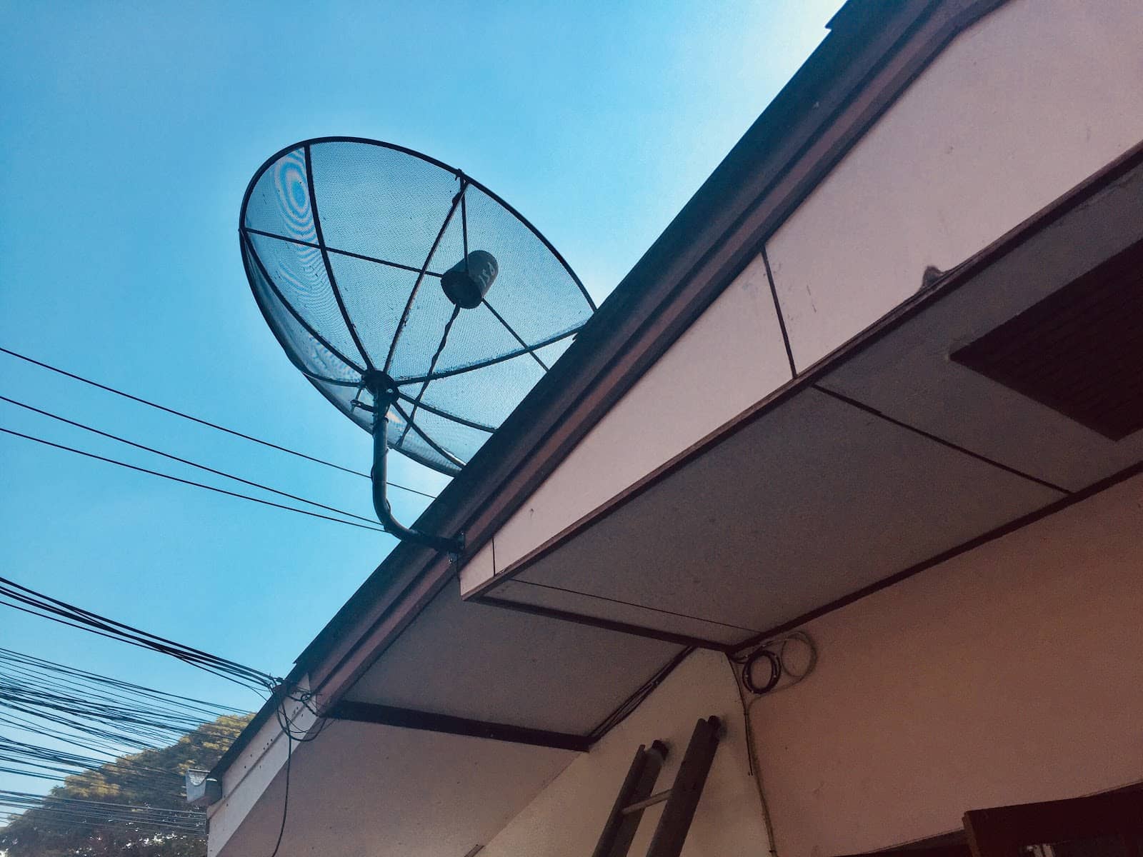 Carp Cafe Experience