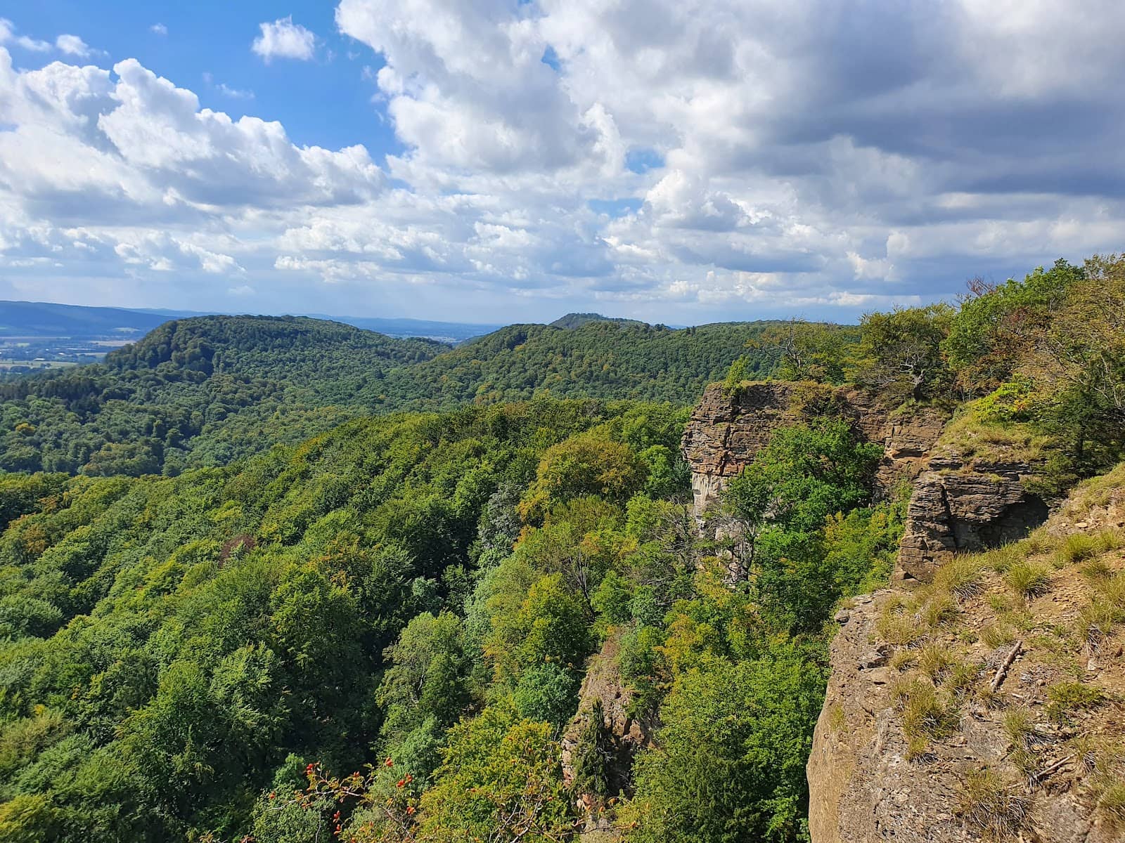 Diverse Nature Reserve