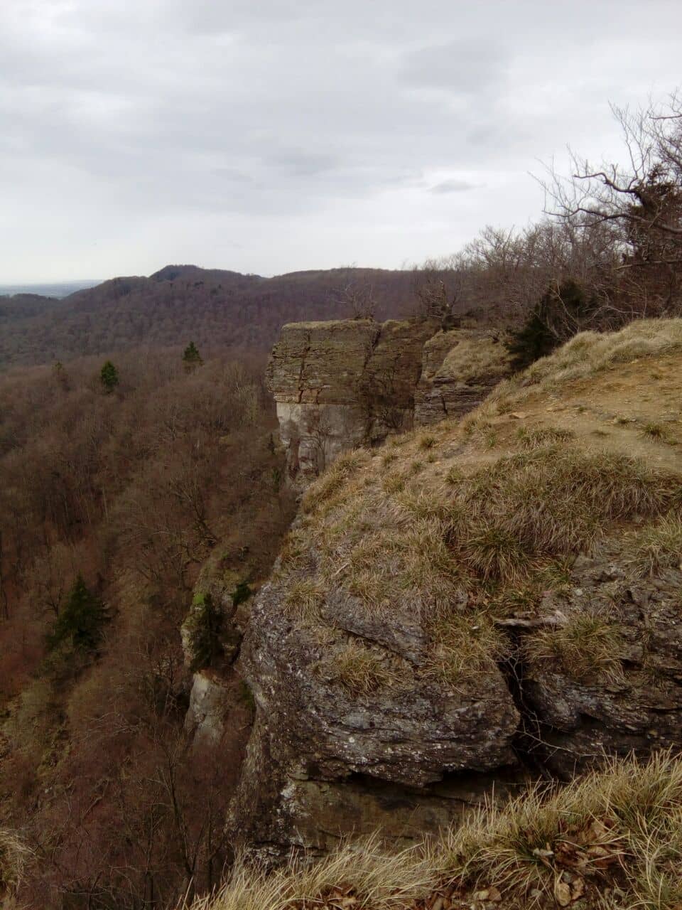 Vertical photo