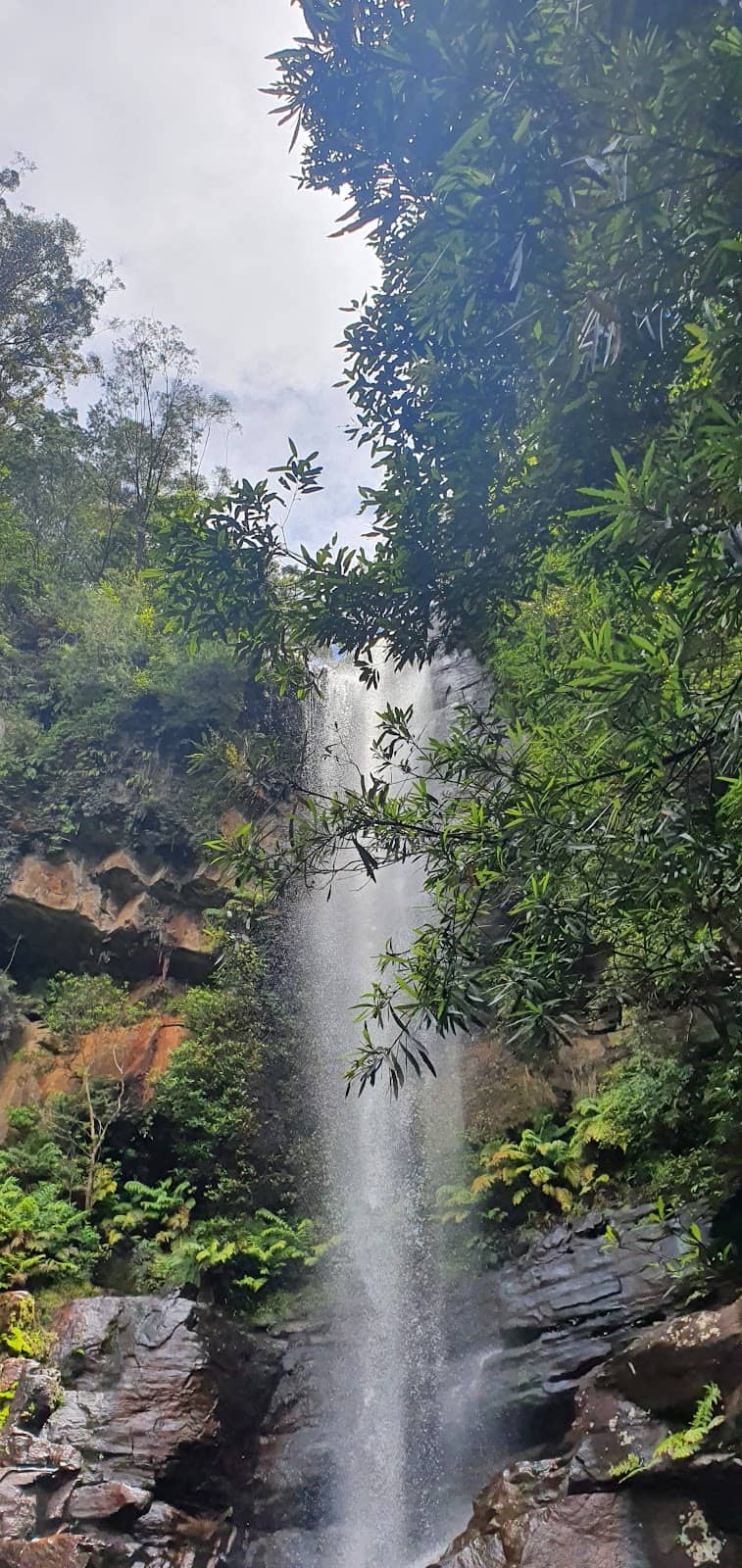 Vertical photo