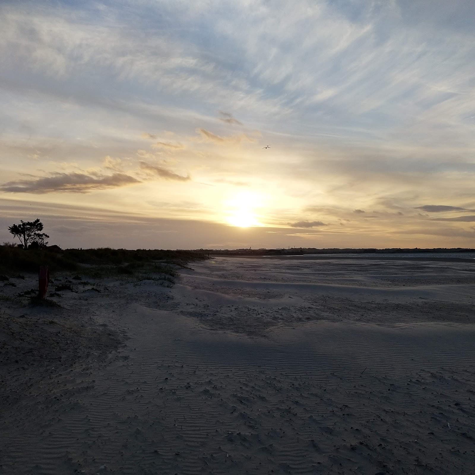 Sutton Strand - Image 1