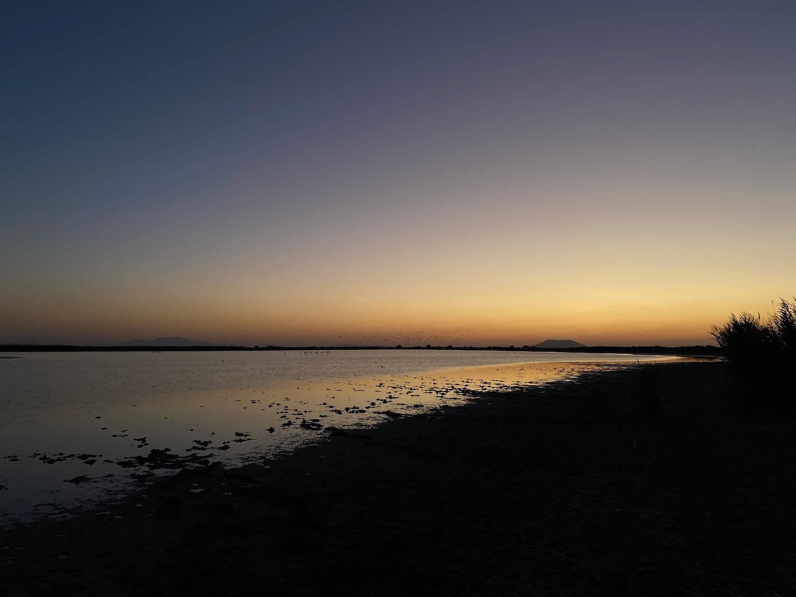 Akgöl Reed Bed Ereğli - Image 1