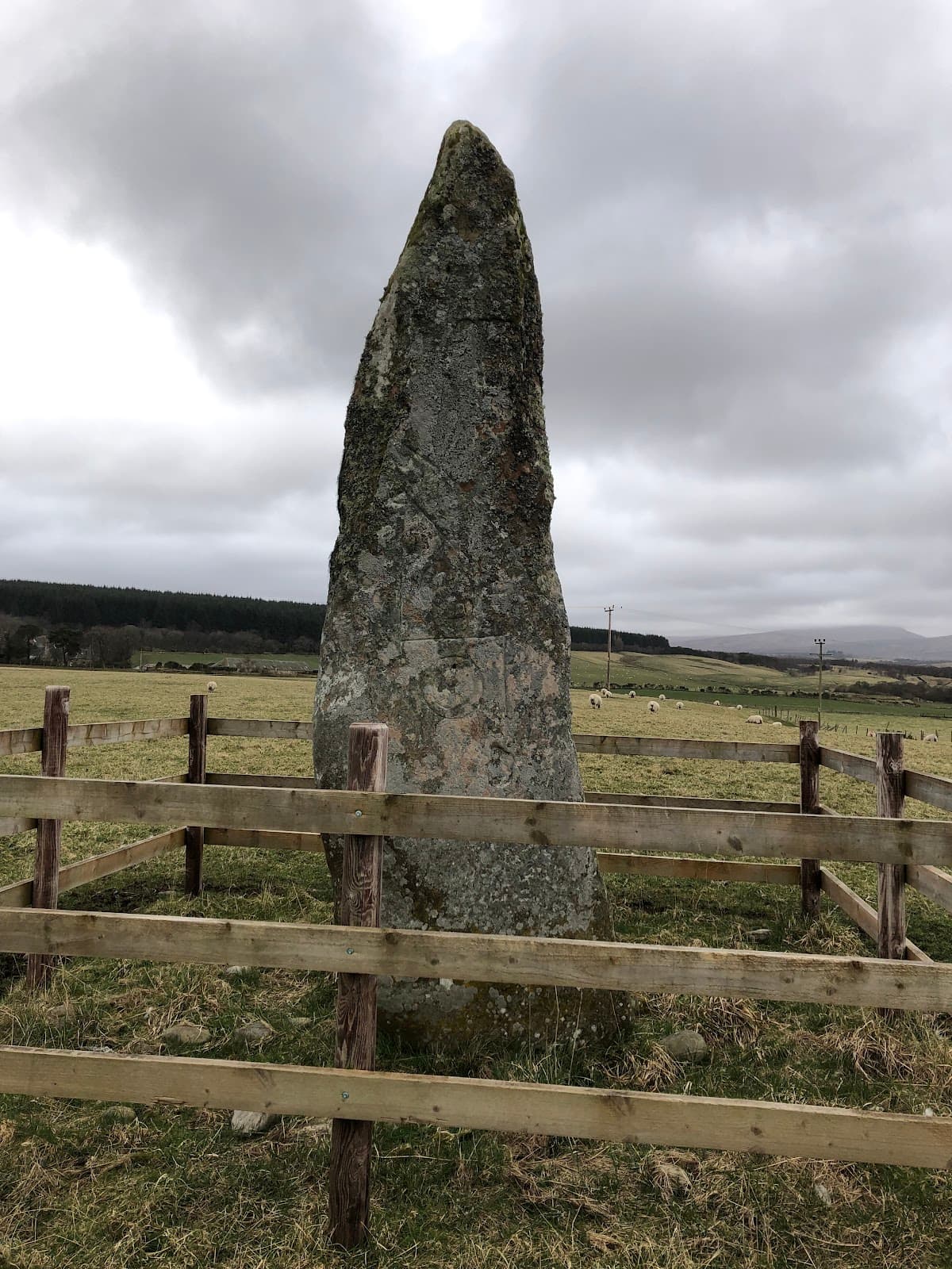 Clach Biorach (Edderton Stone) - Image 1