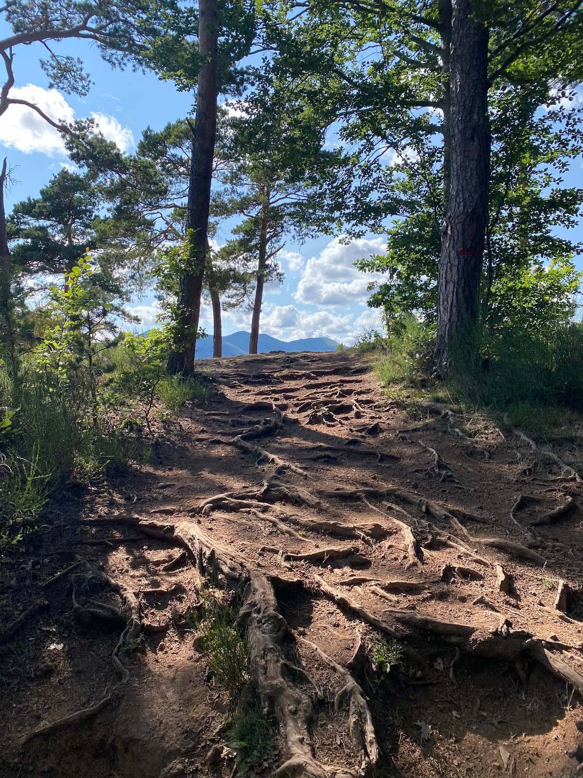 Vertical photo