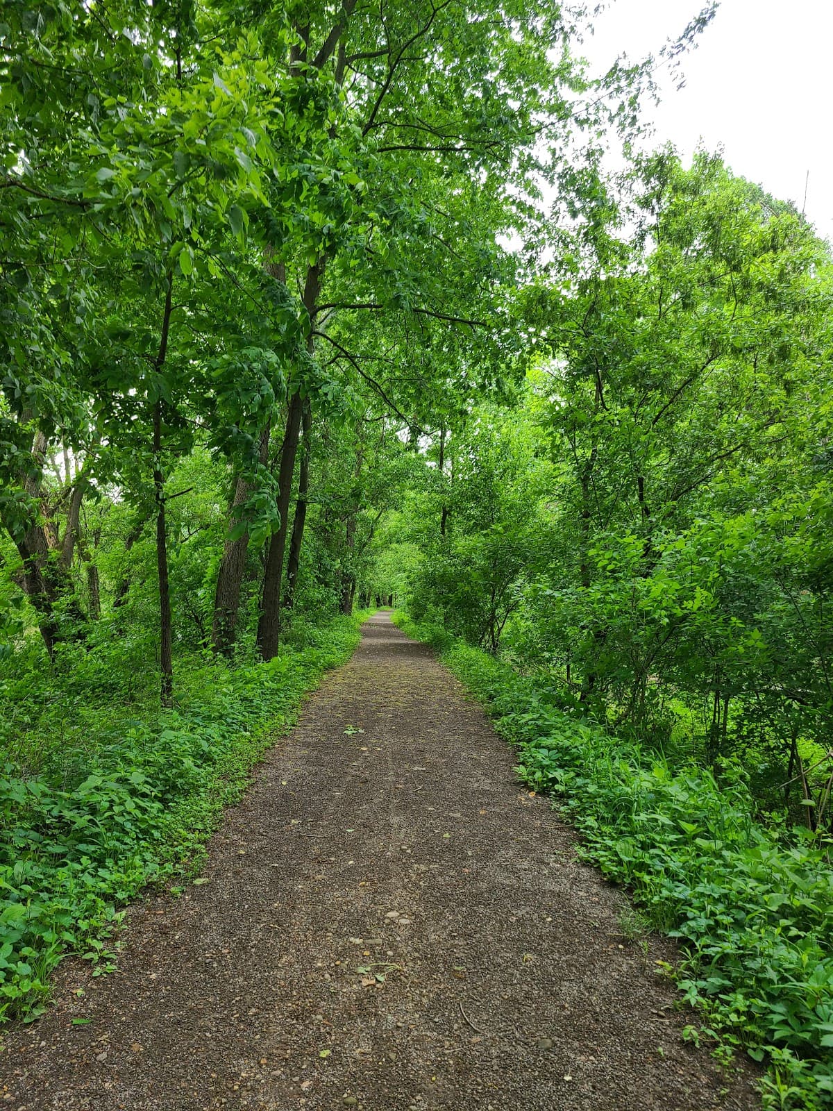 Canal Lands Park – Dover Dam Towpath Trailhead - Image 1