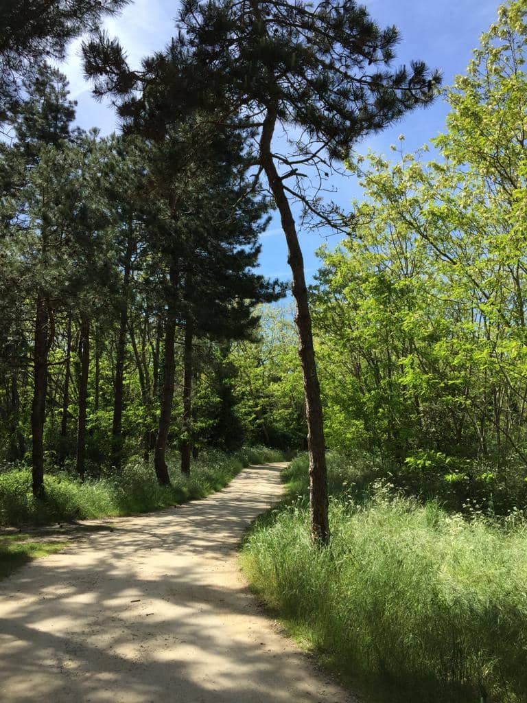 Scenic Landscapes