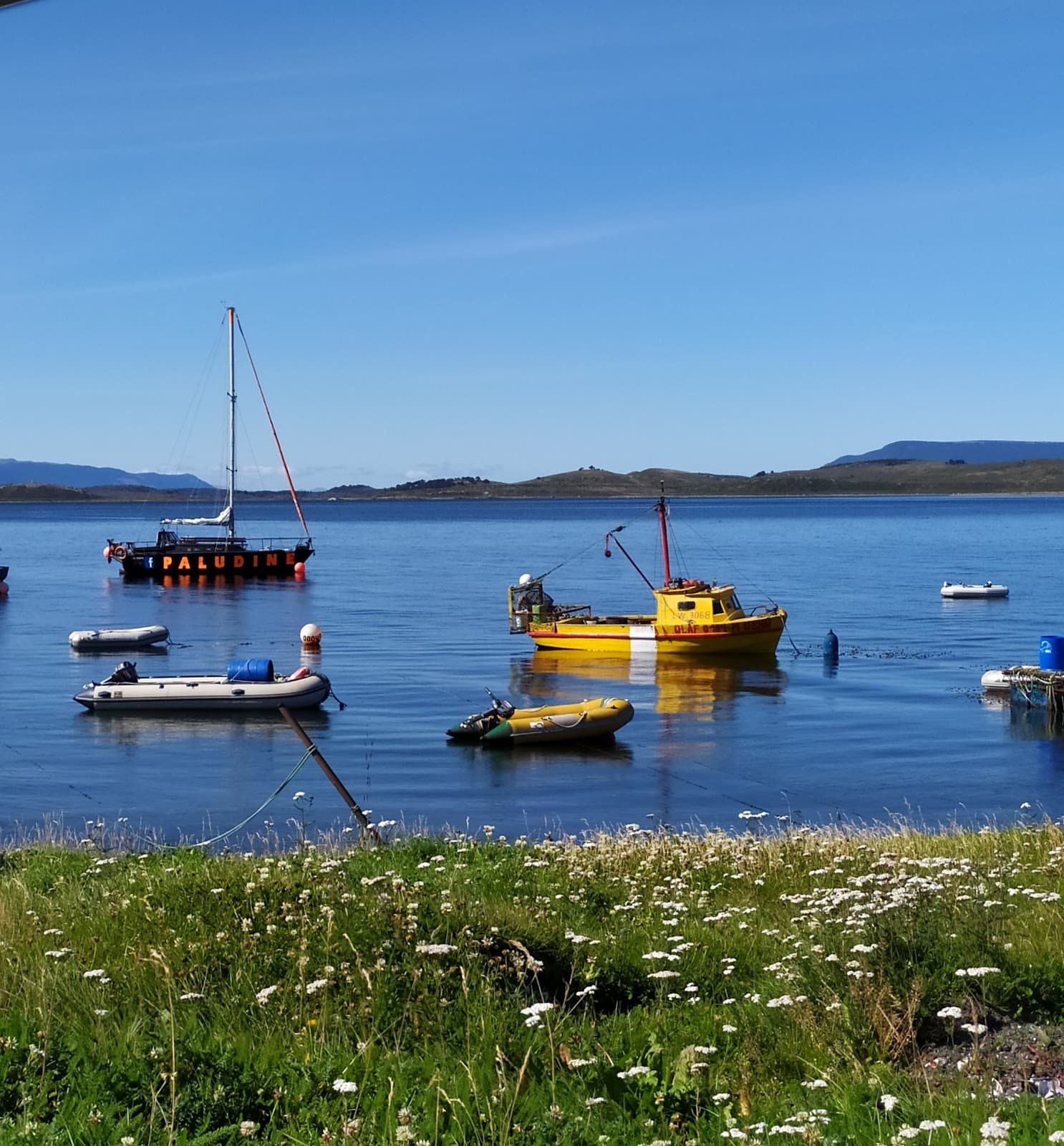 Puerto Almanza Tierra del Fuego - Image 1