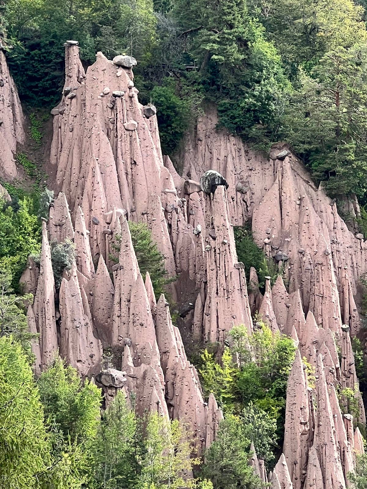 Scenic Hiking Trails