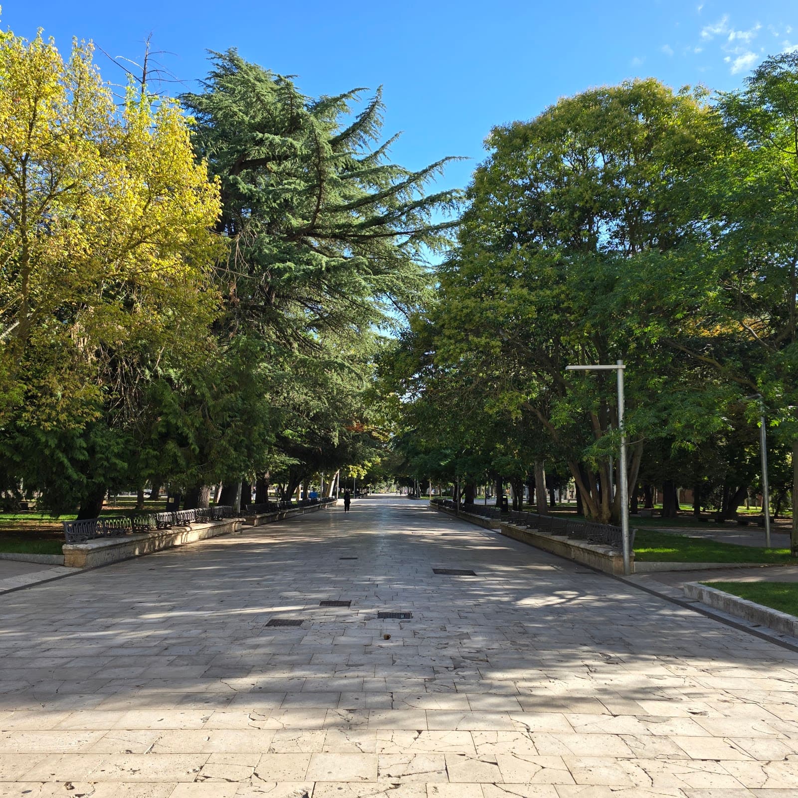 Parque del Salón de Isabel II - Image 1