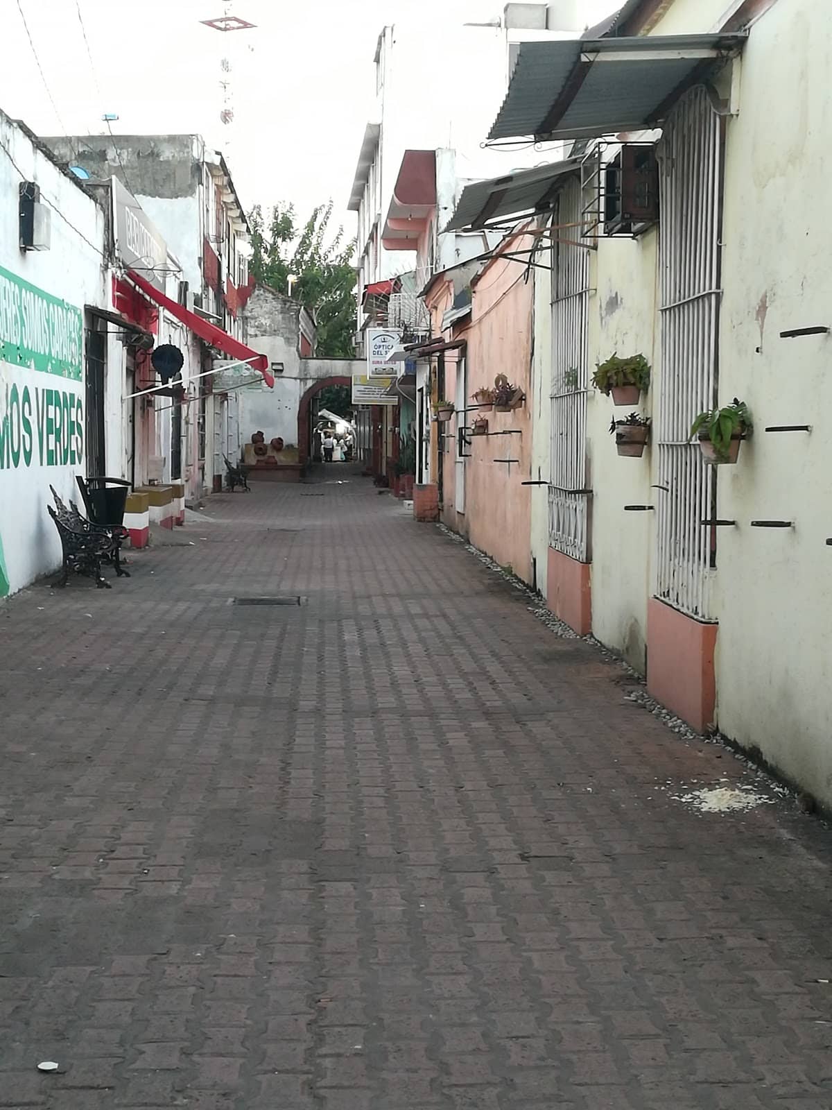 Vertical photo
