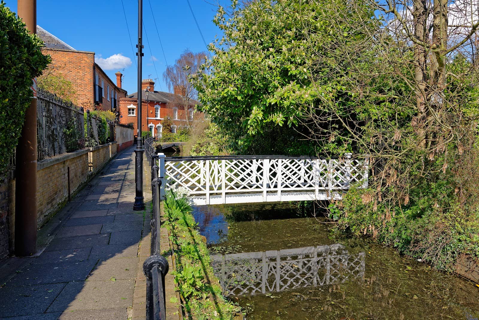 Registry Office Backdrop