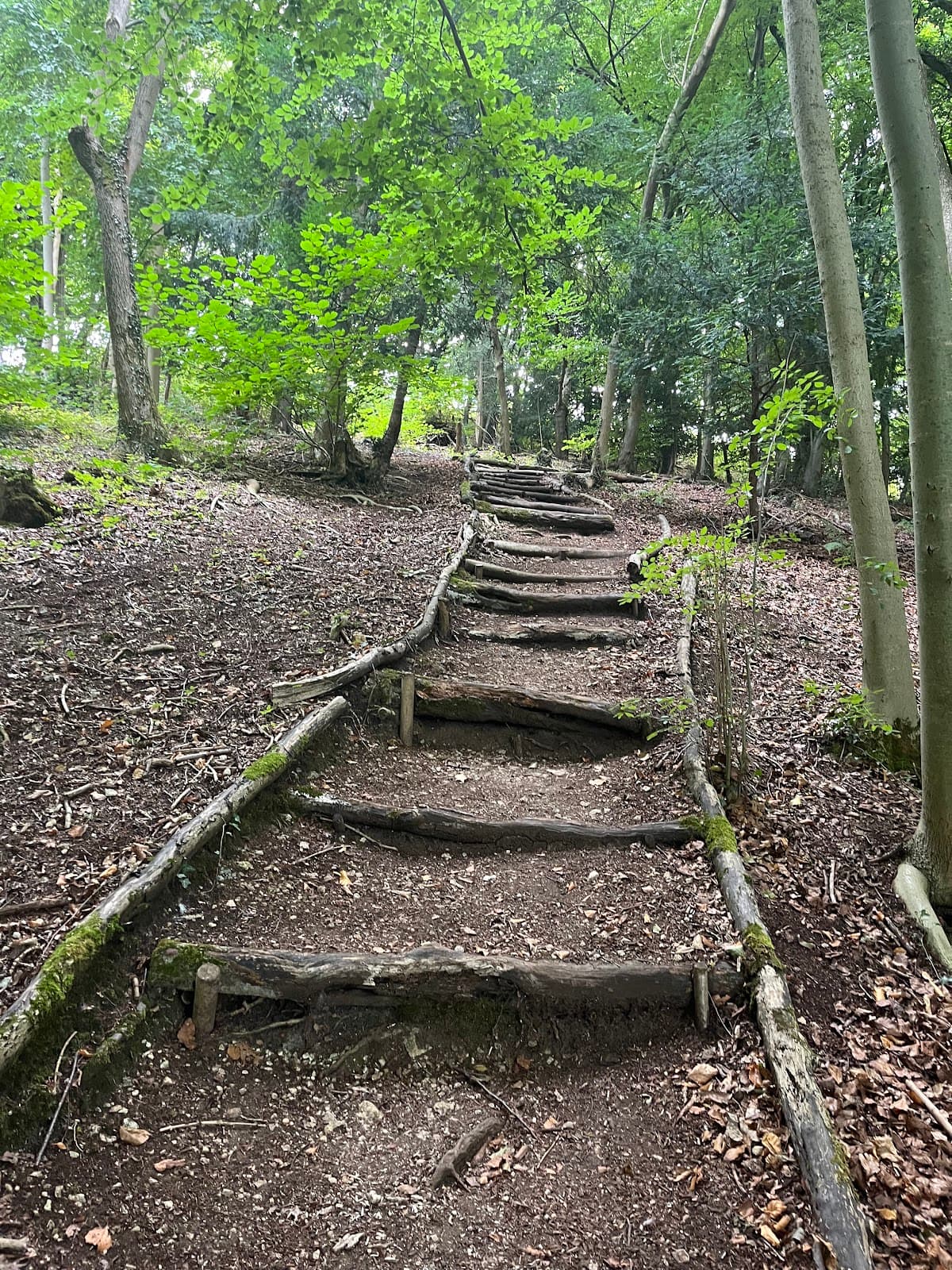 Laurie Lee Wildlife Way - Image 1