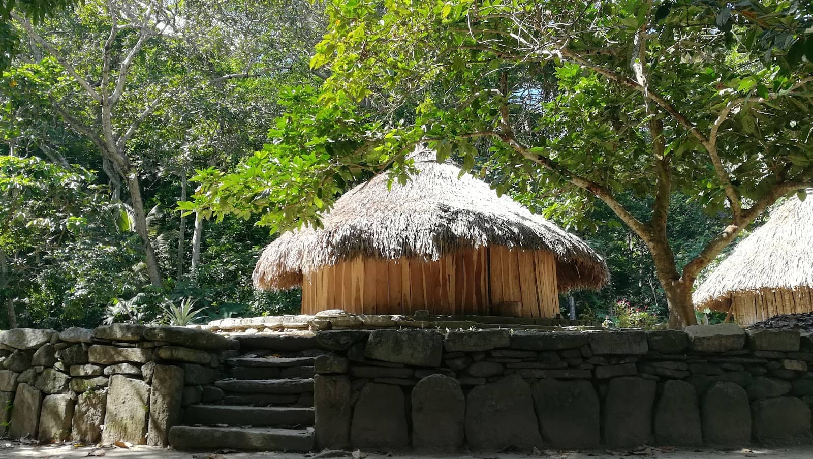 Ayahuasca Rituals and Greetings