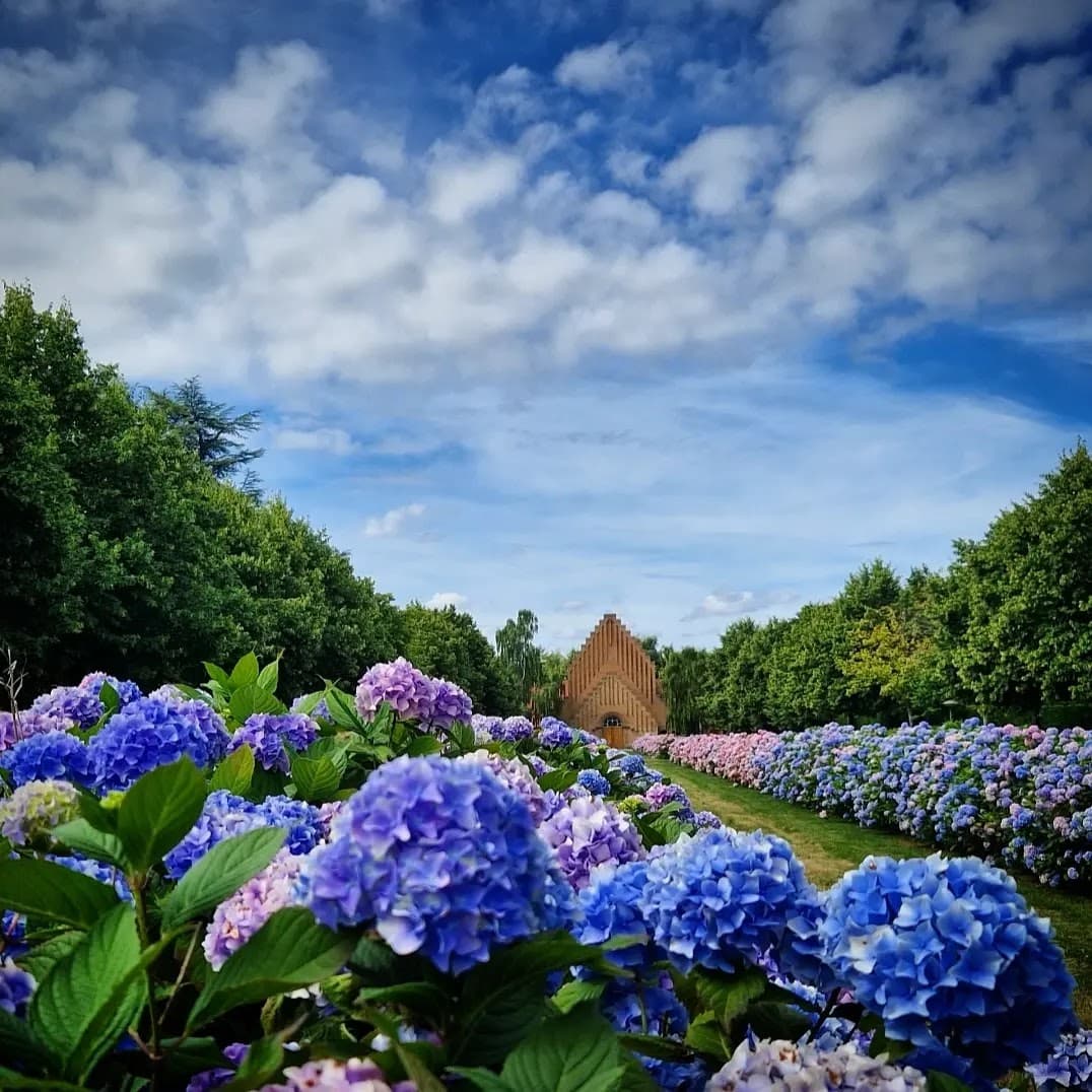 Vestre Kirkegård - Image 1