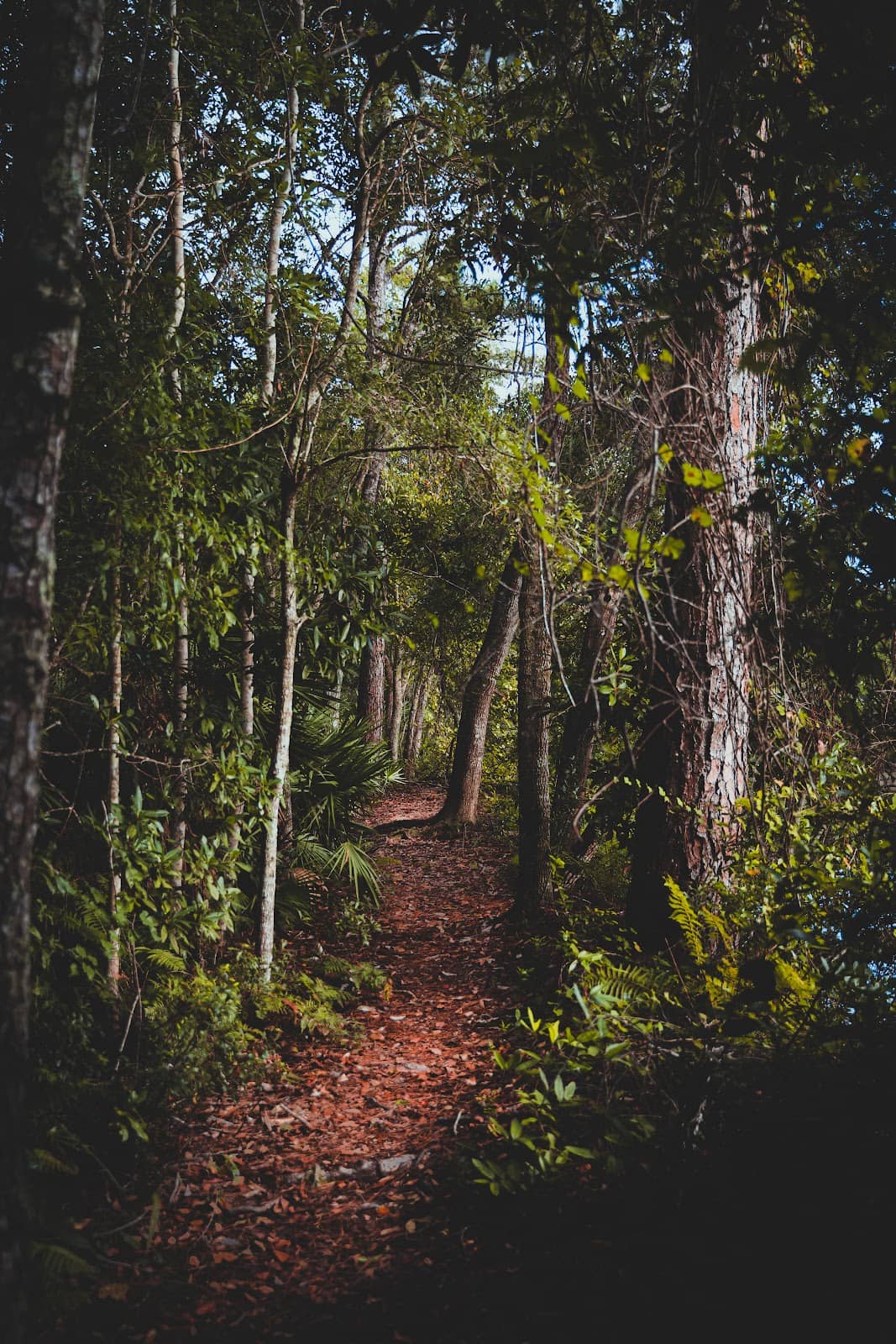 Vertical photo