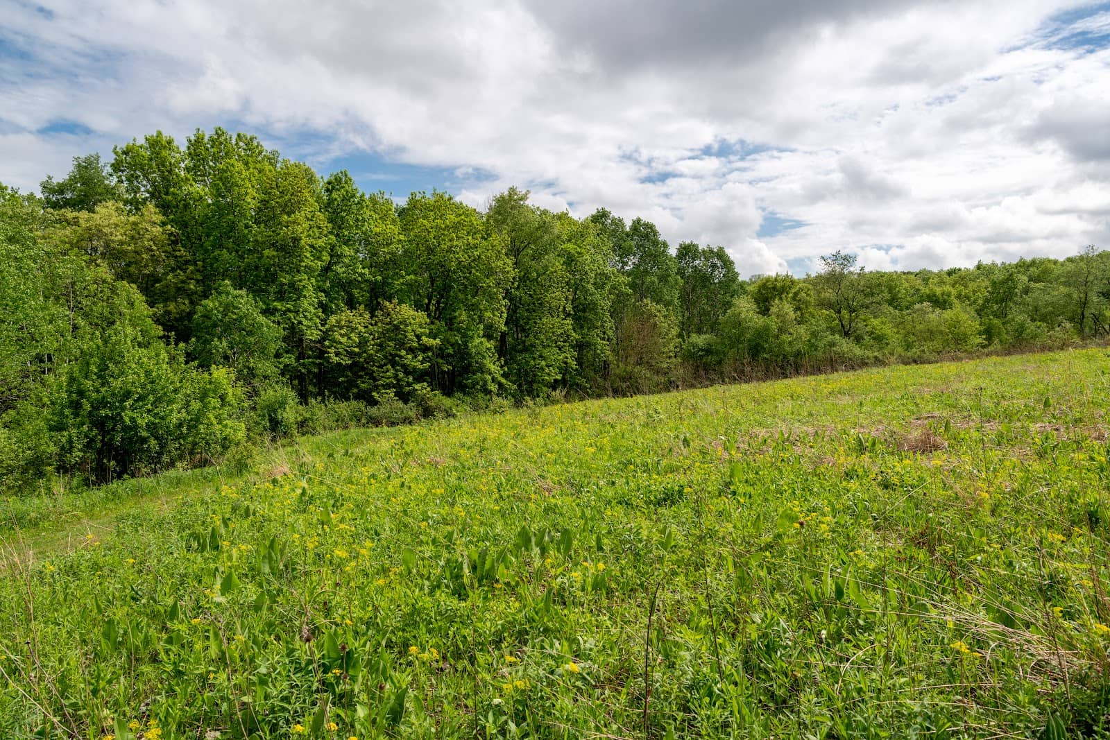 Orchard & Diverse Trails