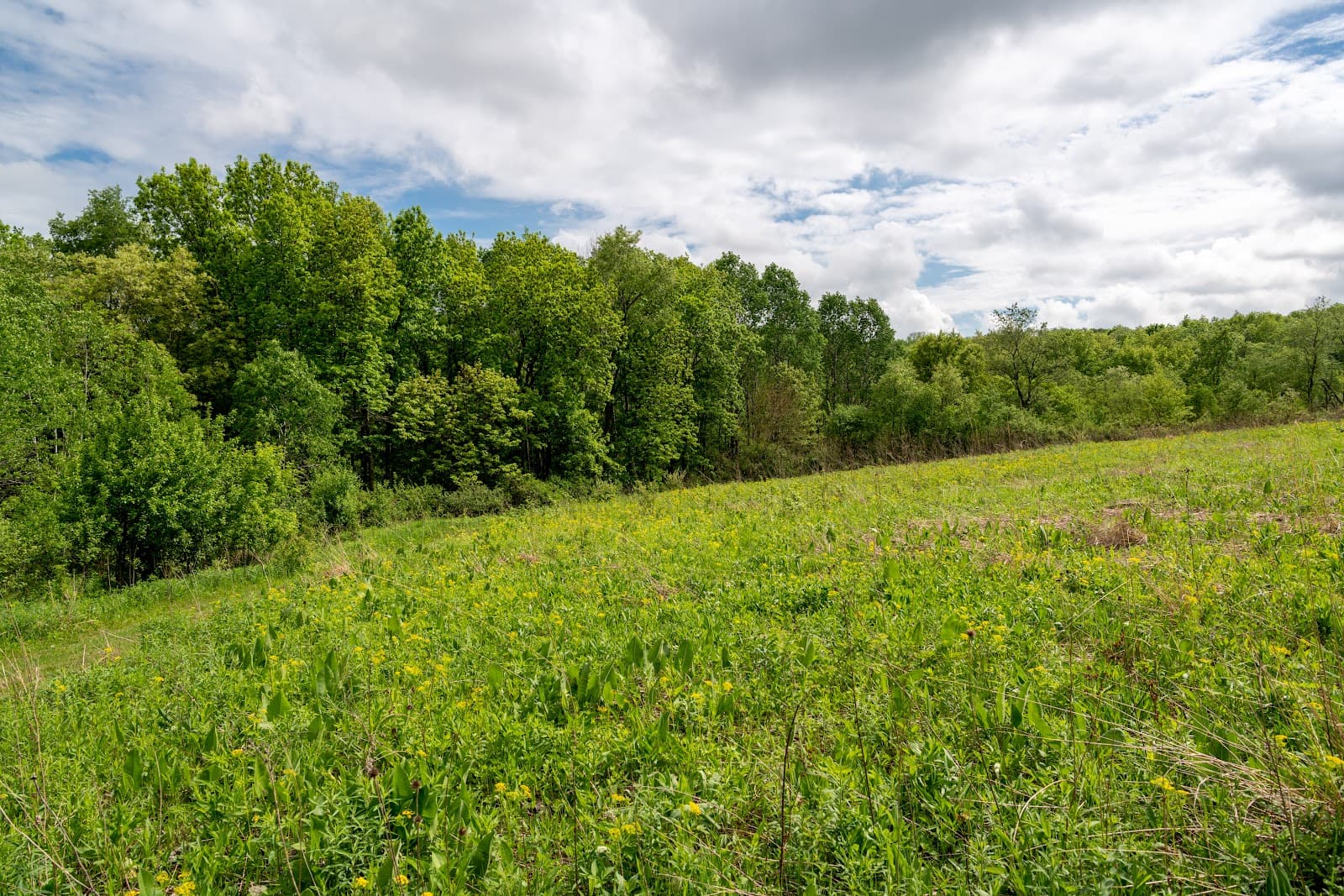 Donald County Park - Image 1