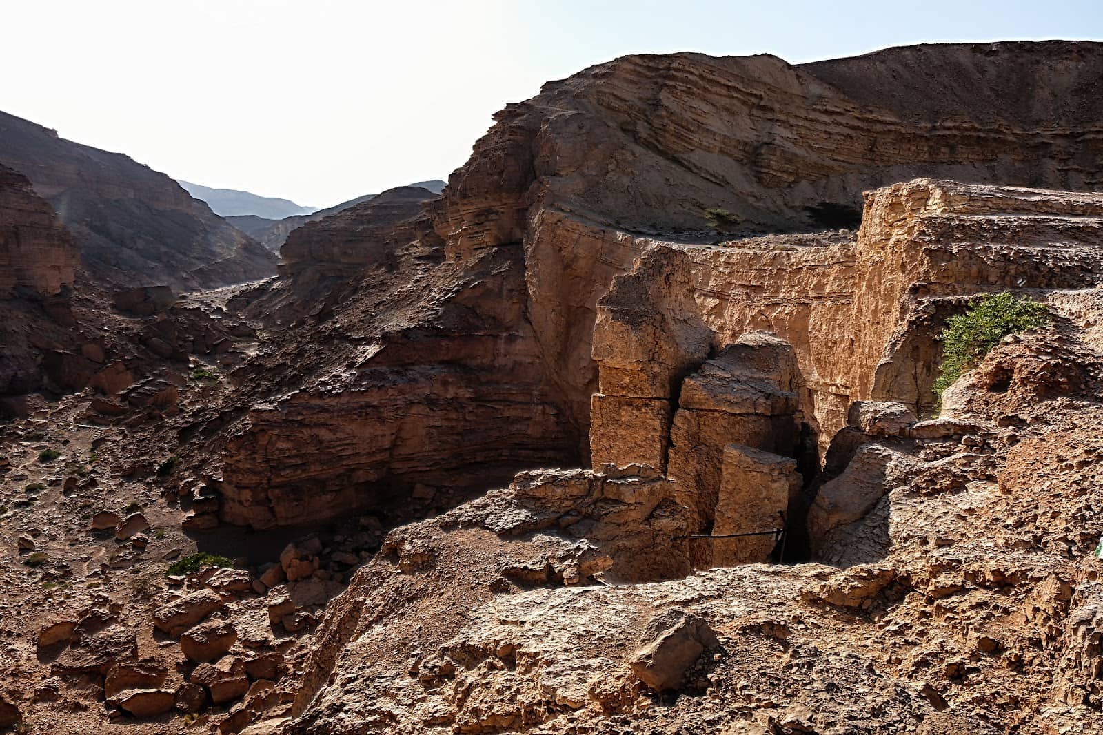 Historical Drip Irrigation Site