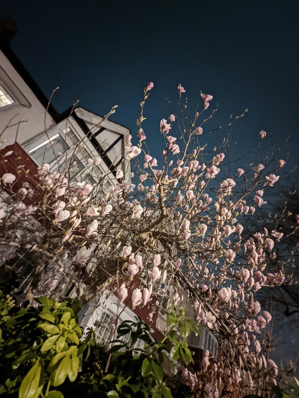 Northfields - Image 1