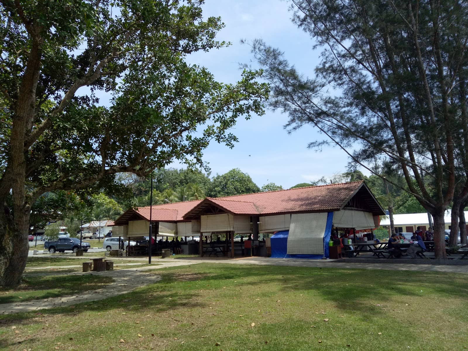 Peaceful Beach Strolls