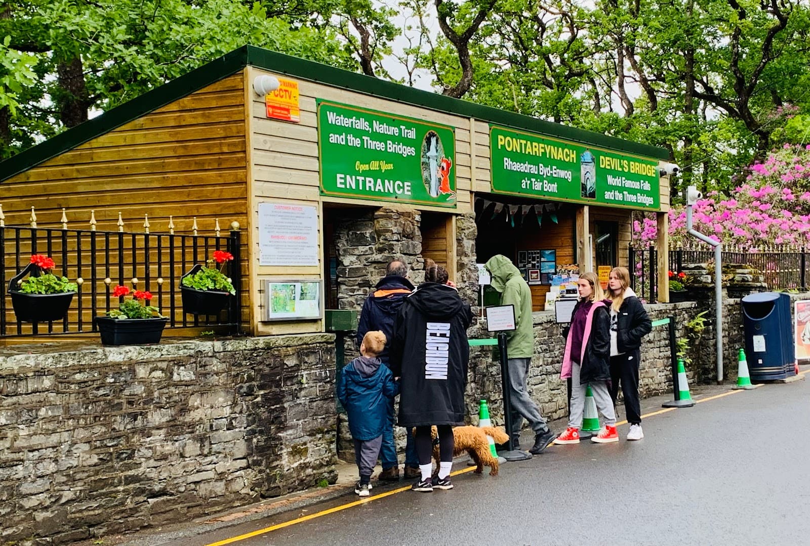 Devil's Bridge Falls - Image 1