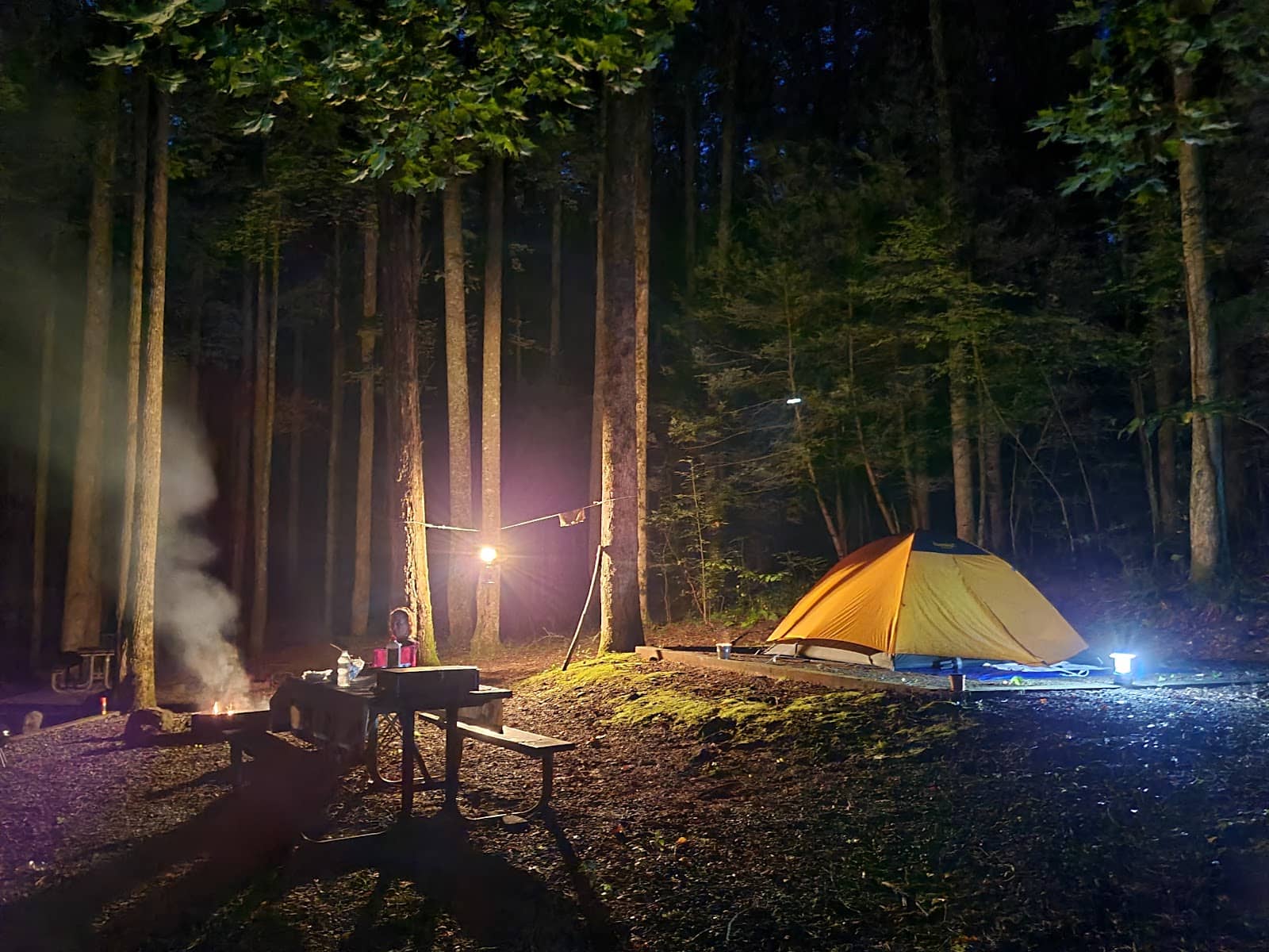 Peaceful Camping Experience