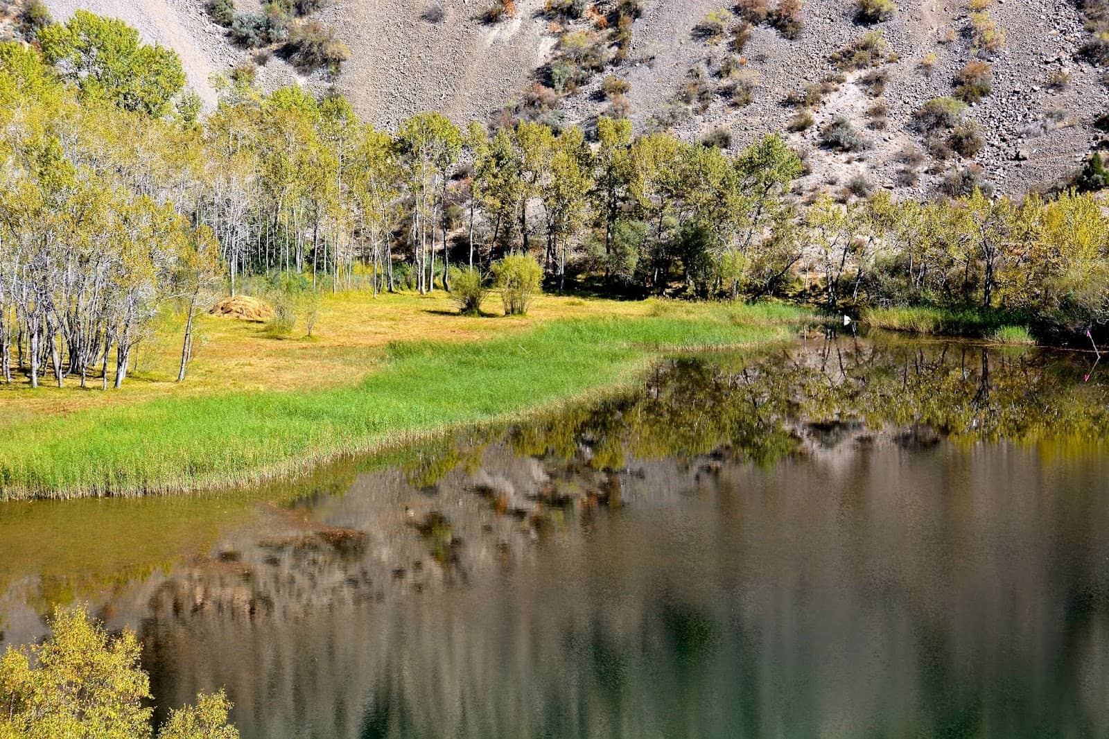 Mountain Silence and Nature