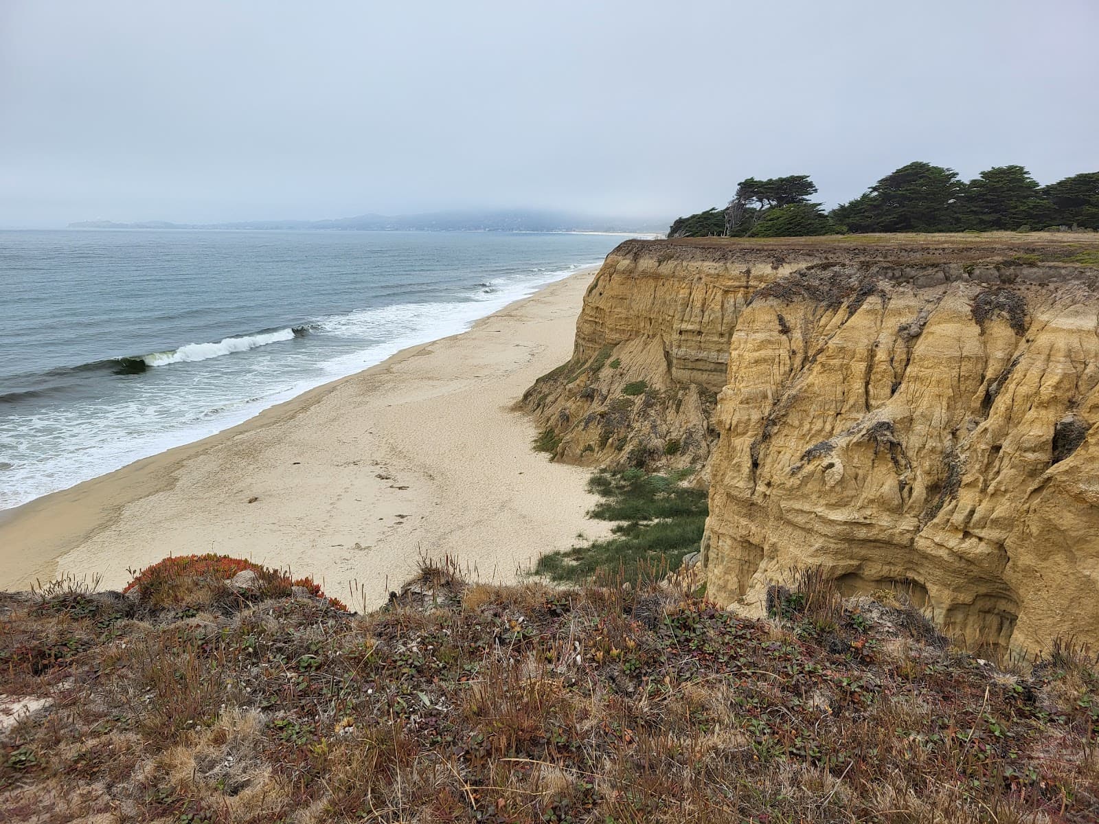 Wavecrest Open Space - Image 1