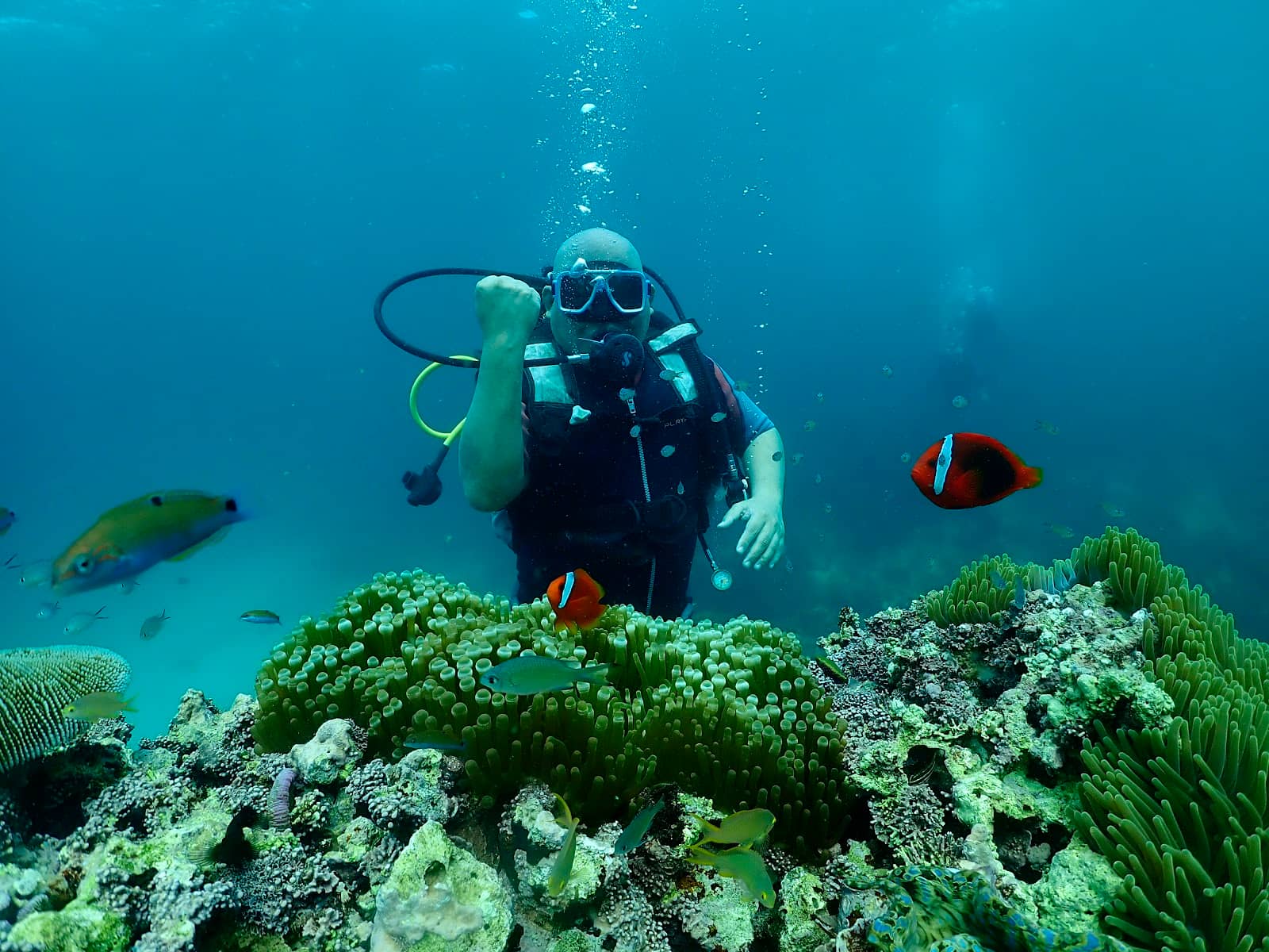 Beginner-Friendly Diving