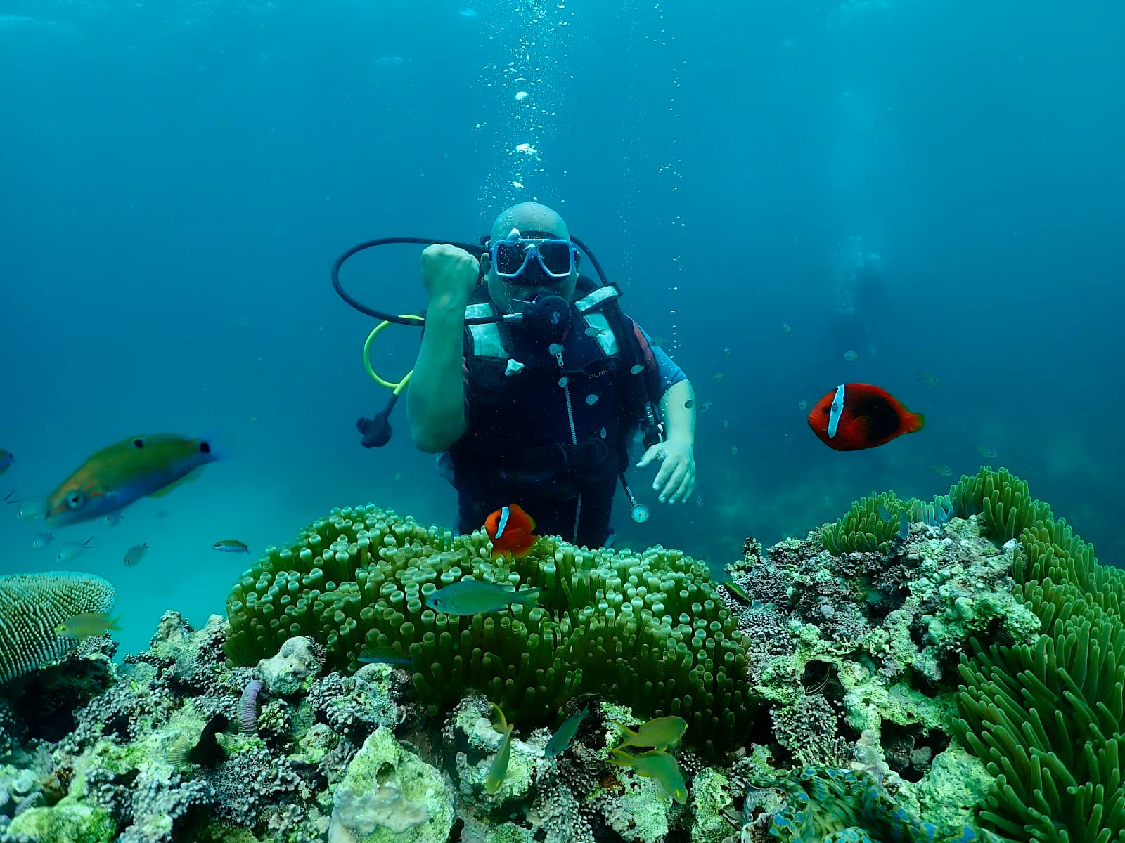 Coral Garden Boracay - Image 1
