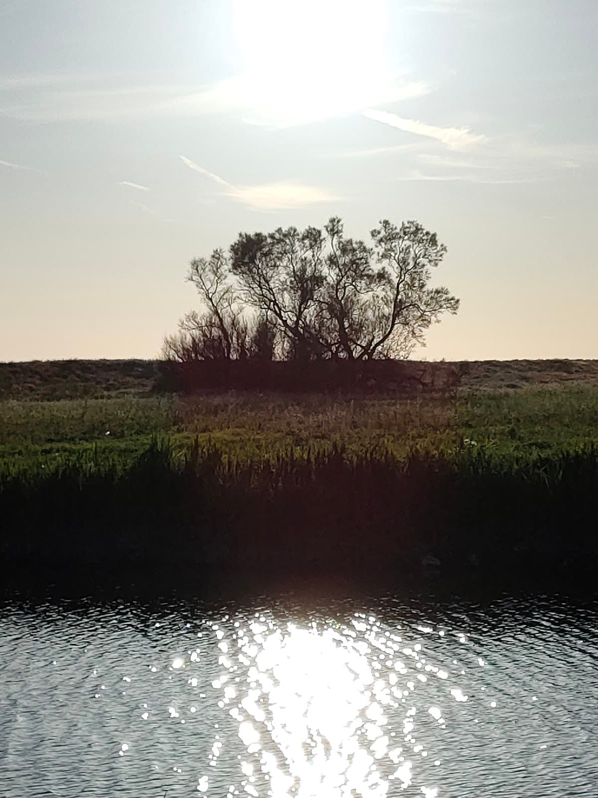 Marina di Cerveteri (Campo di Mare) - Image 1
