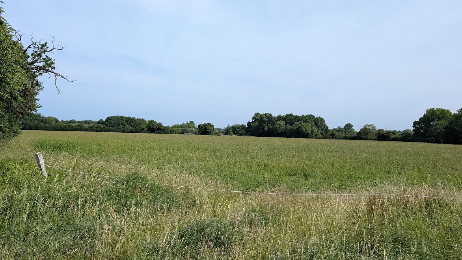 Phoenix Trail - Image 1