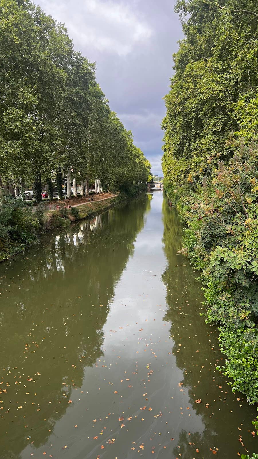 Vertical photo