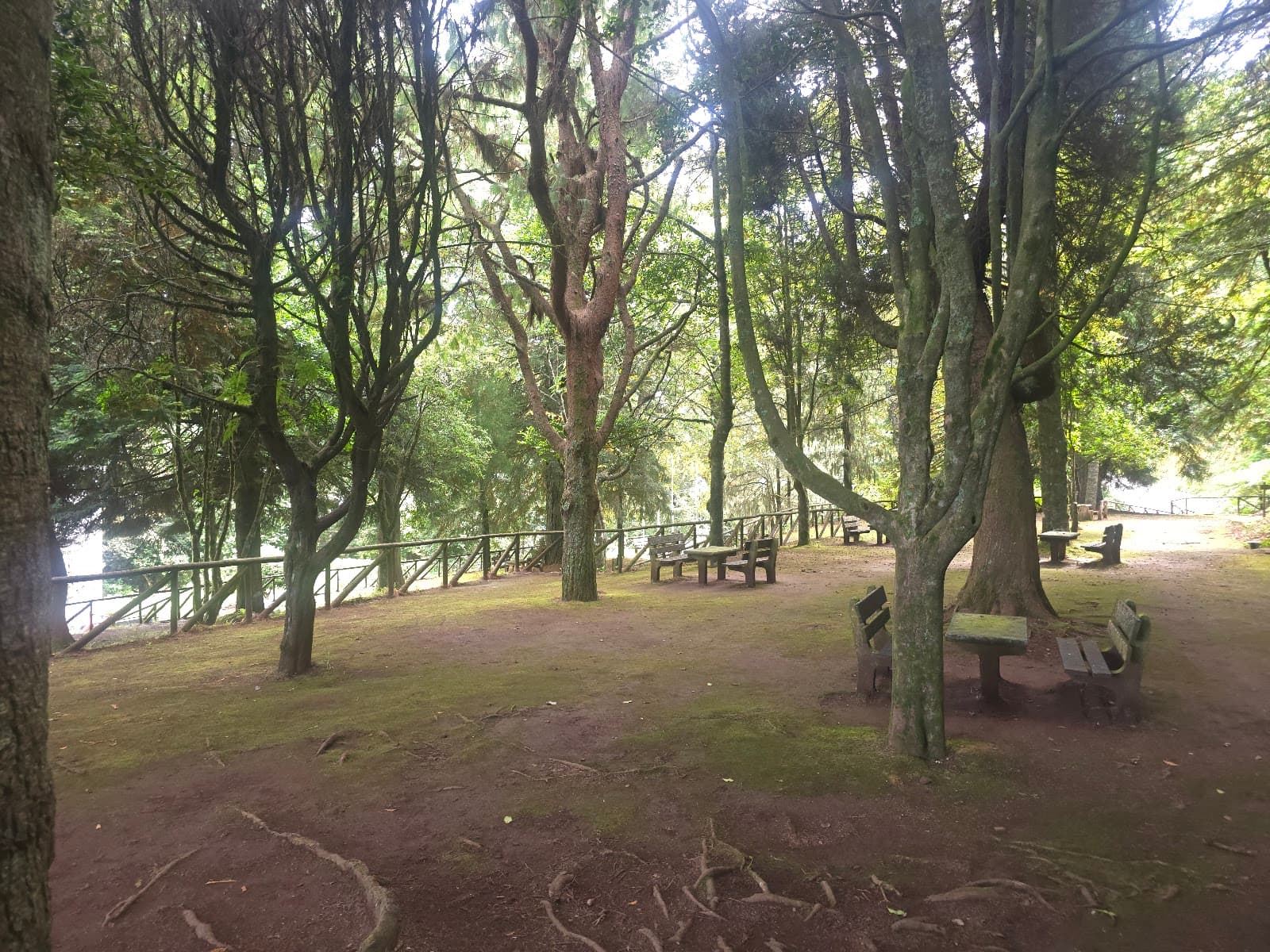 Pico das Pedras–Queimadas Trail - Image 1