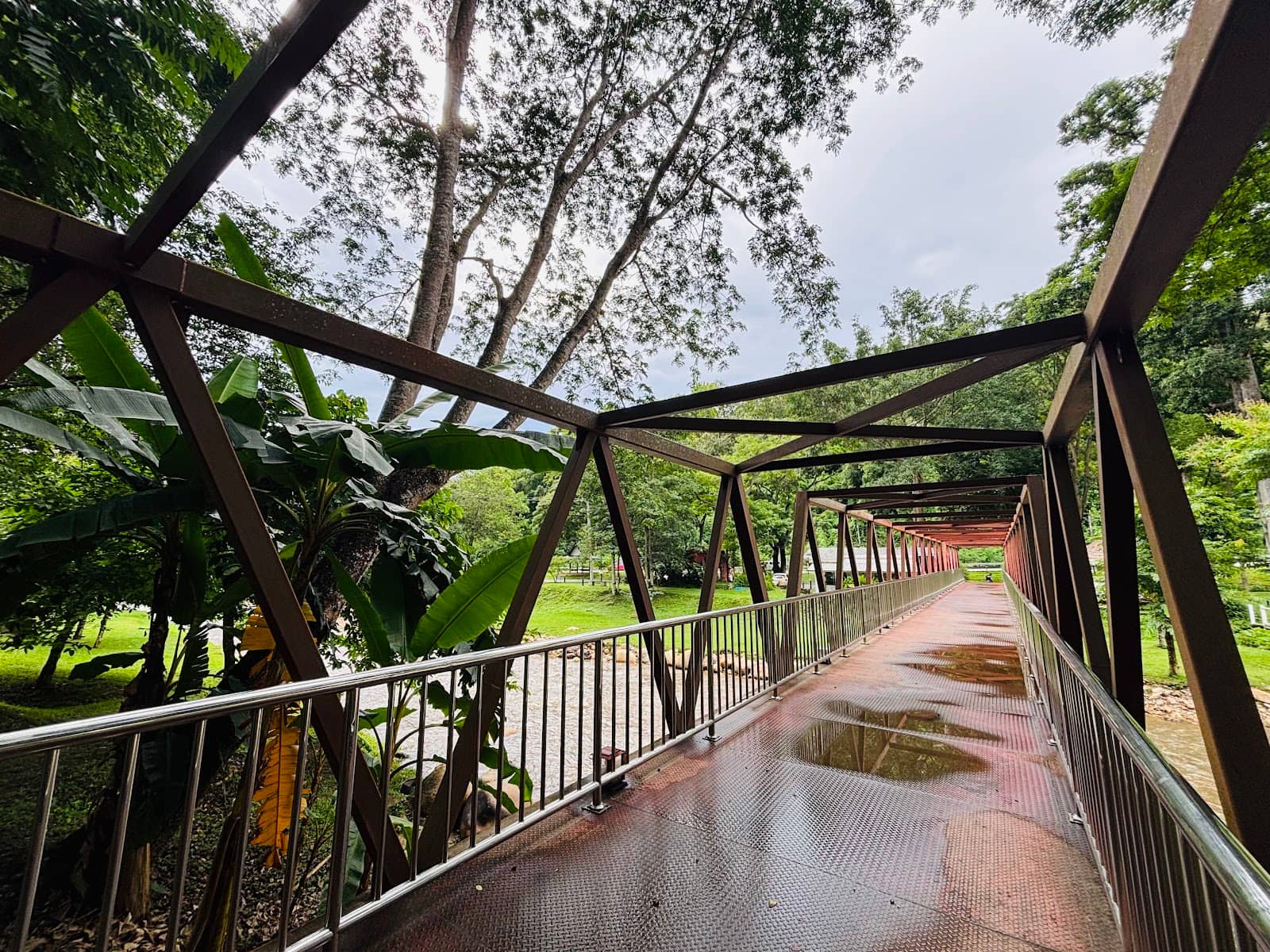 Scenic Walking Trails