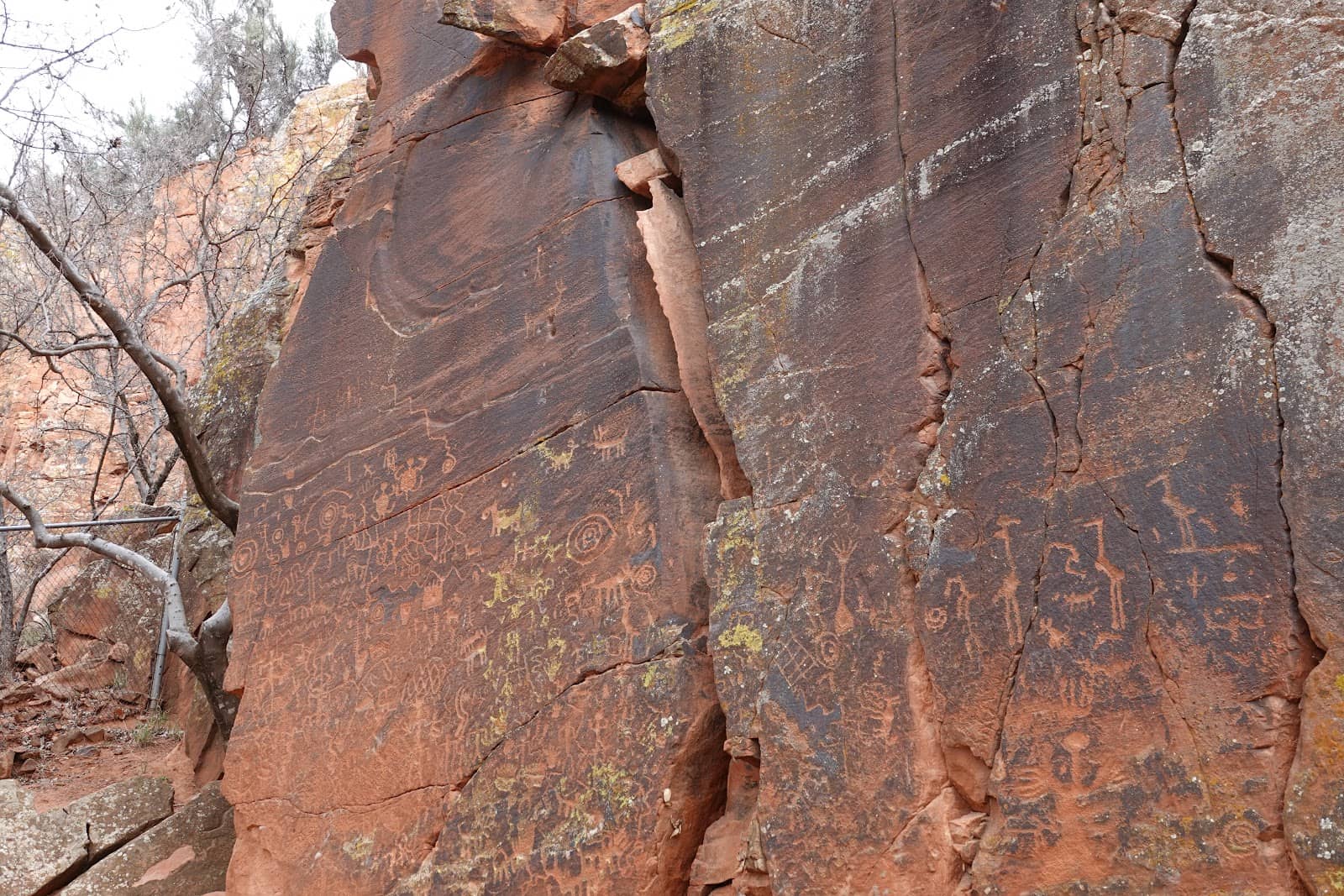 Vertical photo