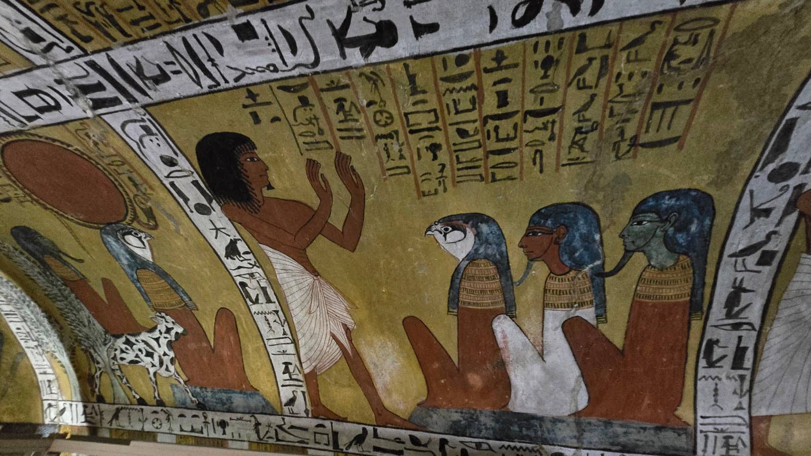 Afterlife Agricultural Scenes