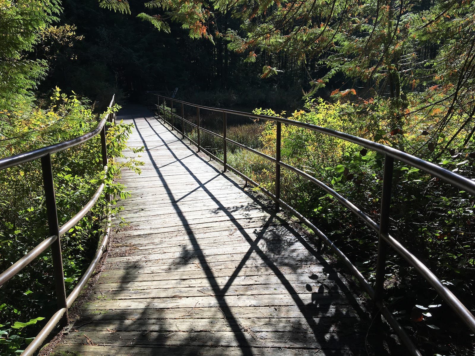 Spirea Nature Trail - Image 1