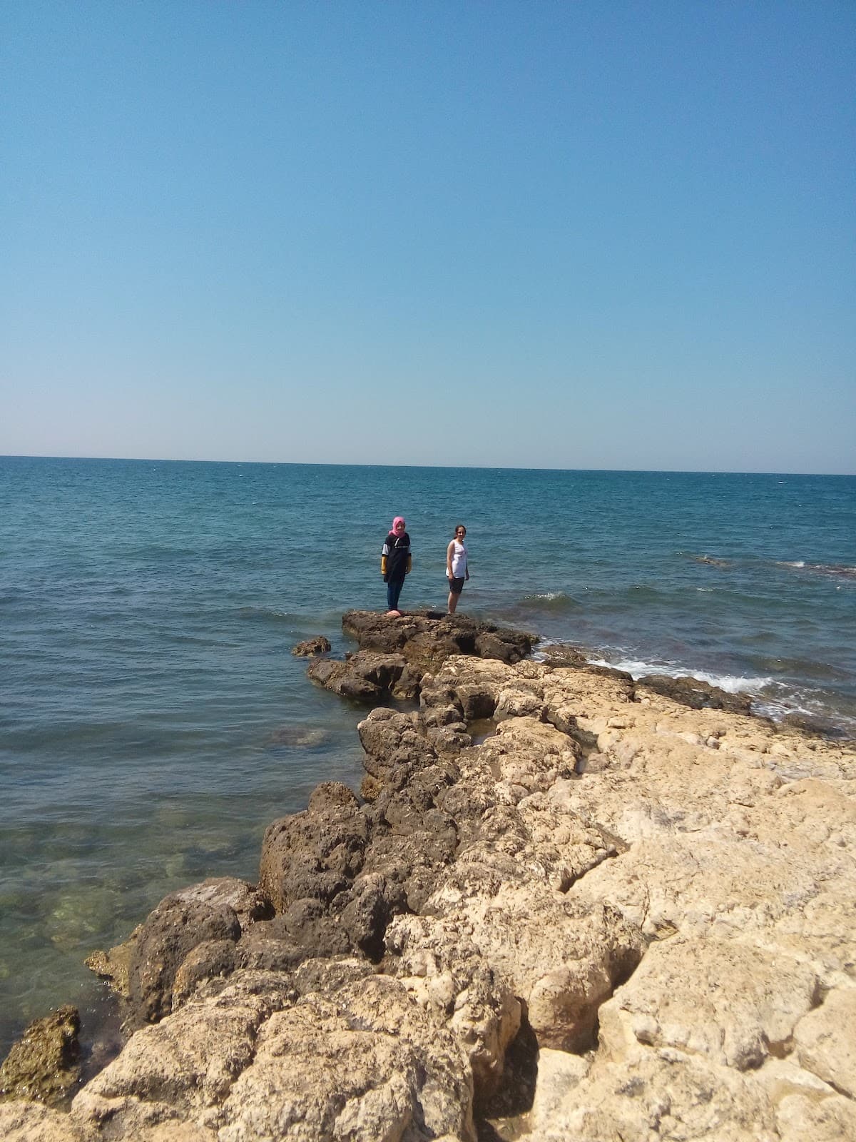 Tavşanburnu Nature Park - Image 1