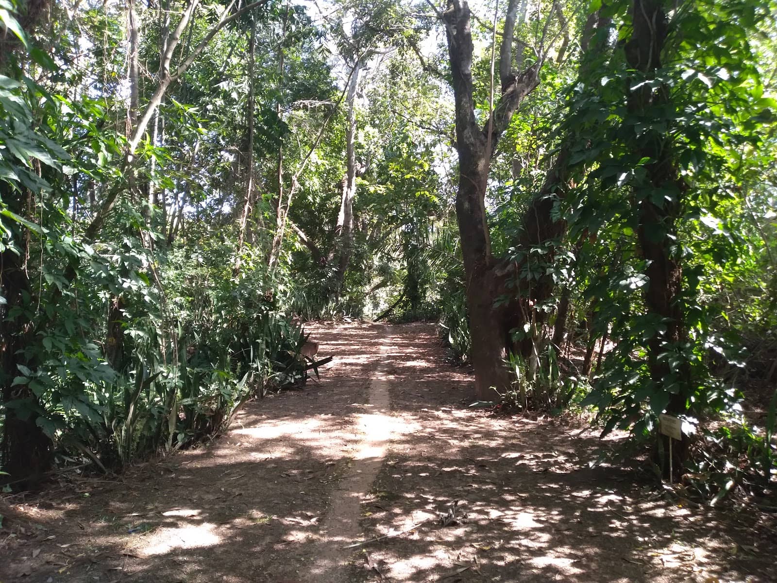 Nature Trails