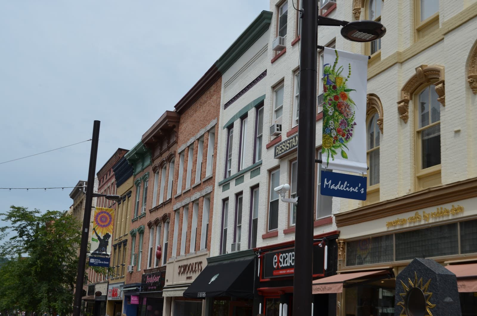 Ithaca Commons - Image 1