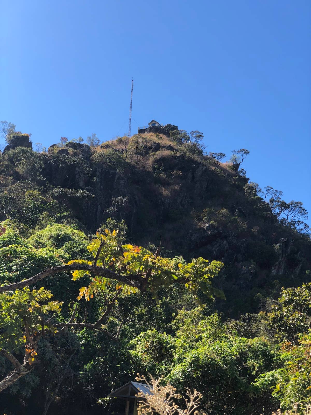 Peaceful Morning Trek