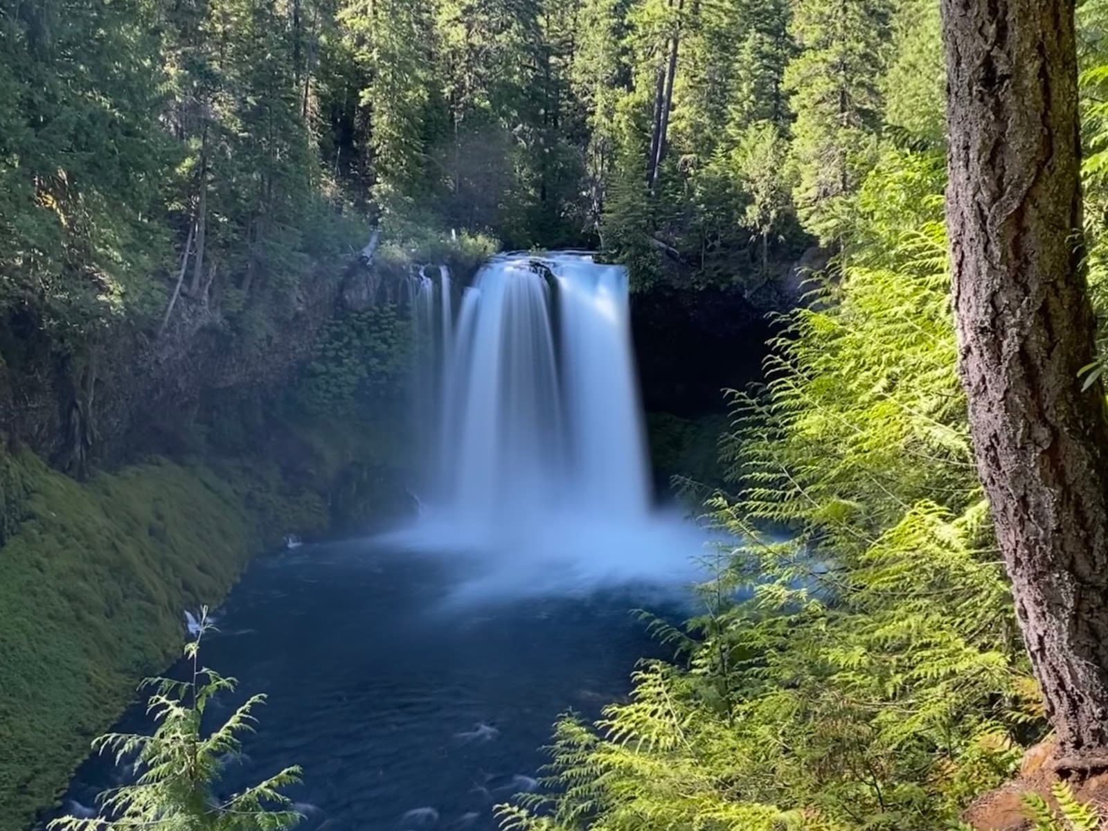 Koosah Falls - Image 1