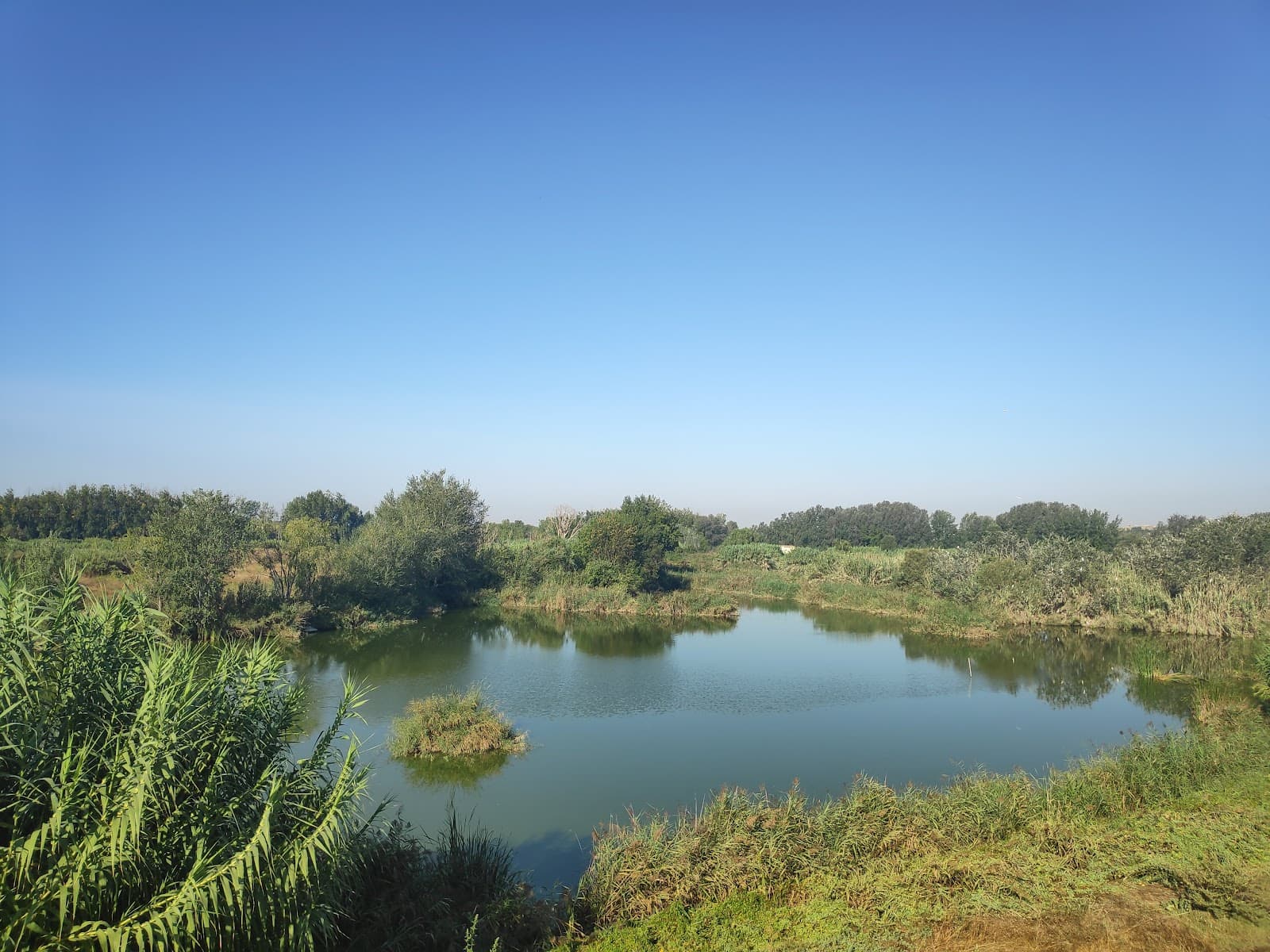 Rufea Wetlands (Aiguamolls de Rufea) Lleida - Image 1