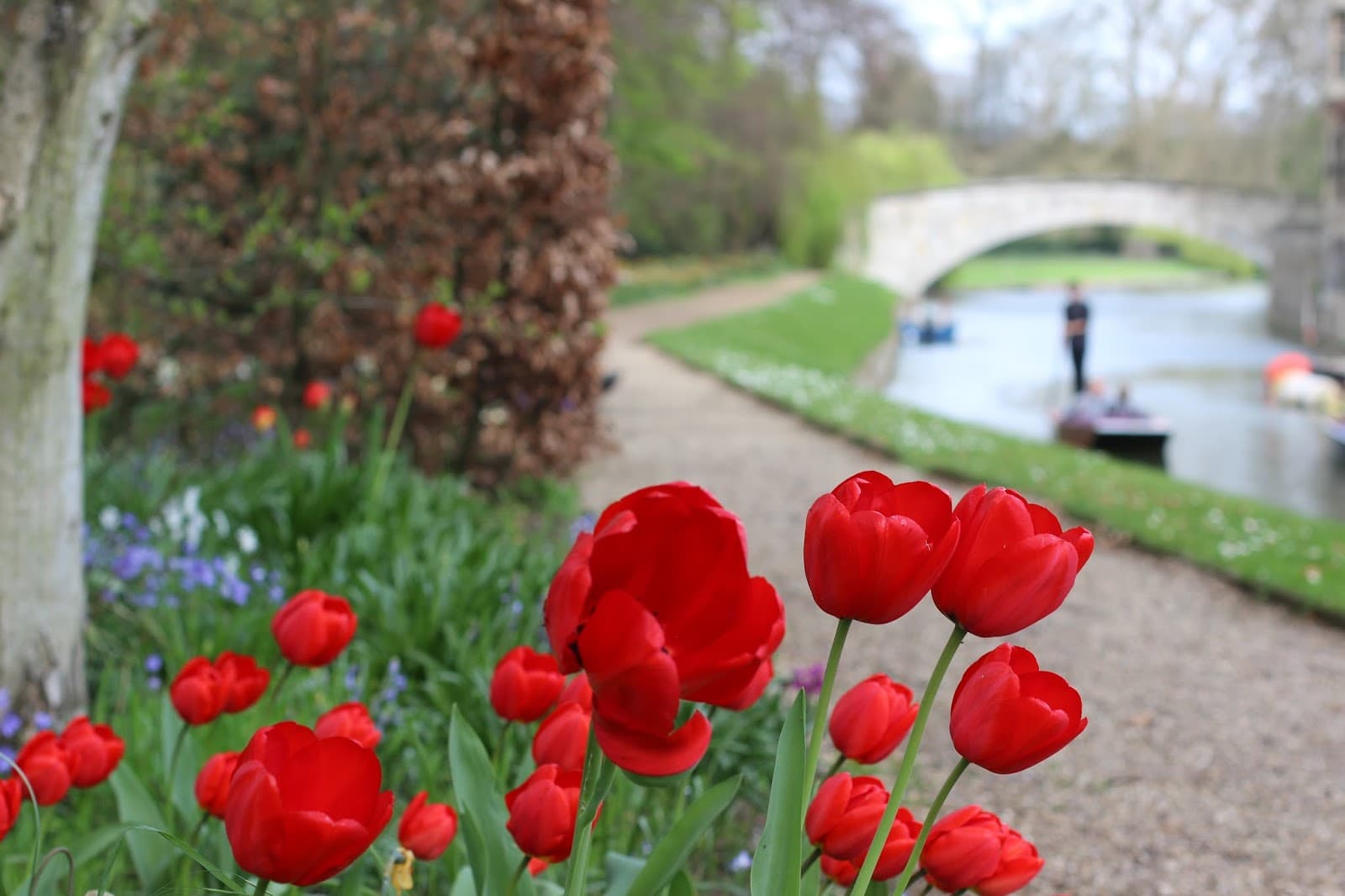 Queens' College Cambridge - Image 1