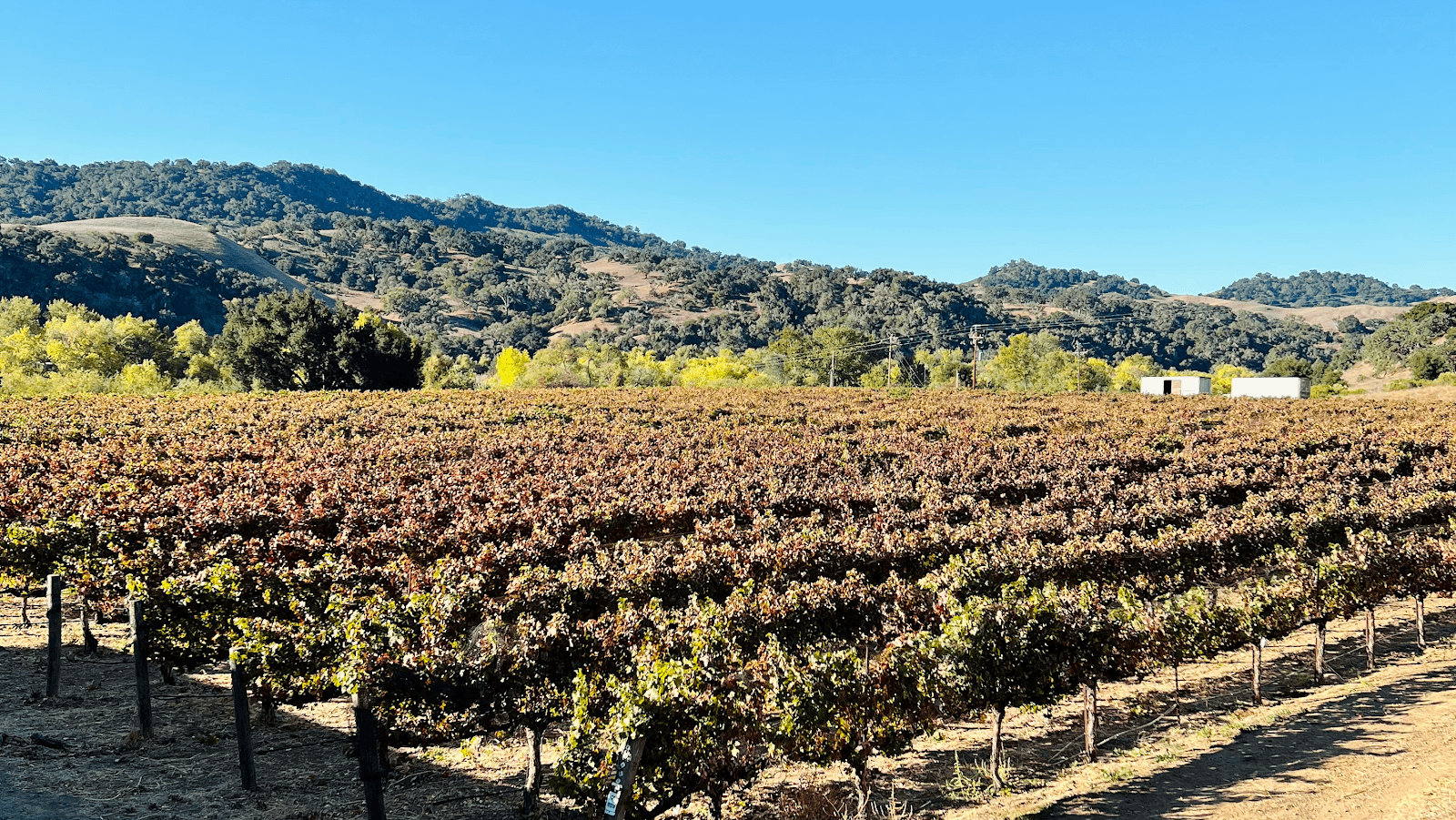 Sunstone Winery - Image 1