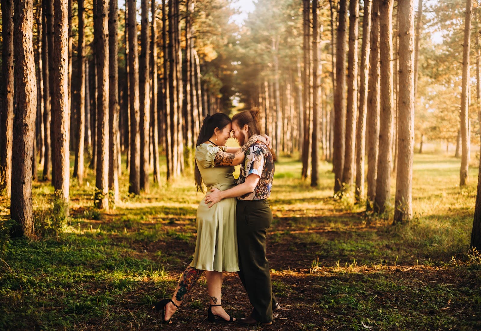 Montissippi Regional Park - Image 1