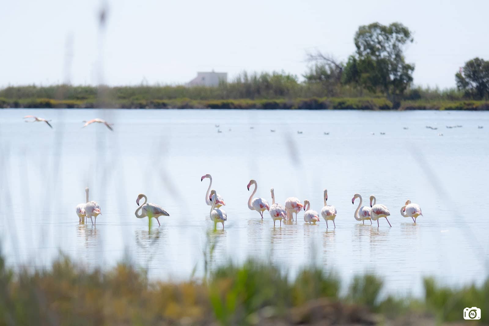 Birdwatching Viewpoints