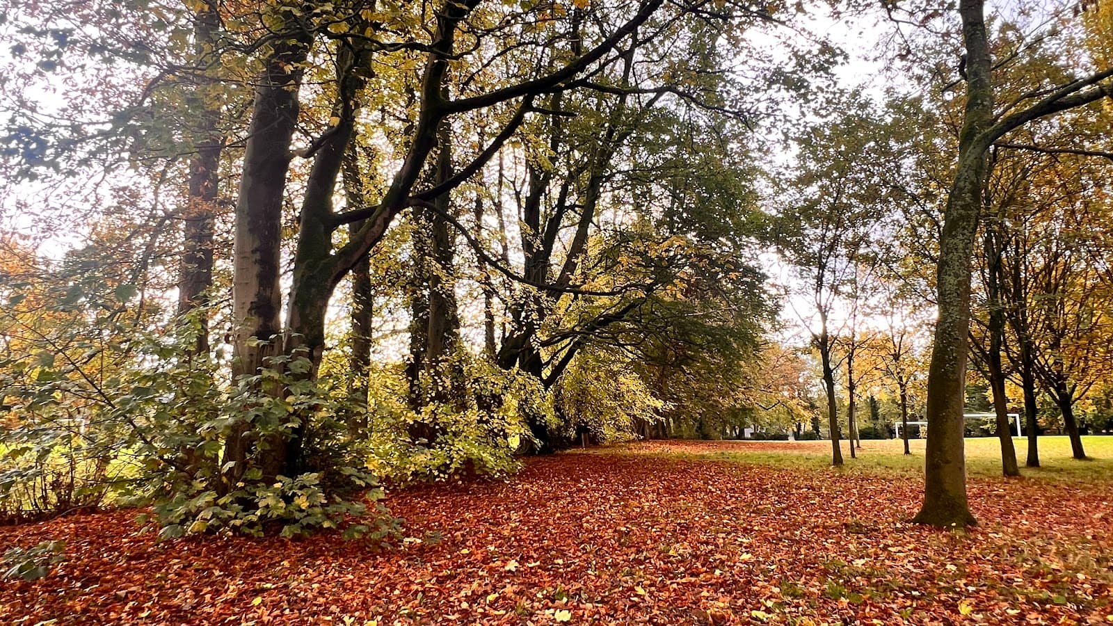 Halecroft Park - Image 1