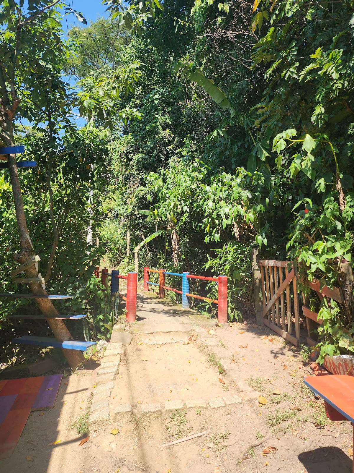 Trilha da Costa da Lagoa Florianópolis - Image 1